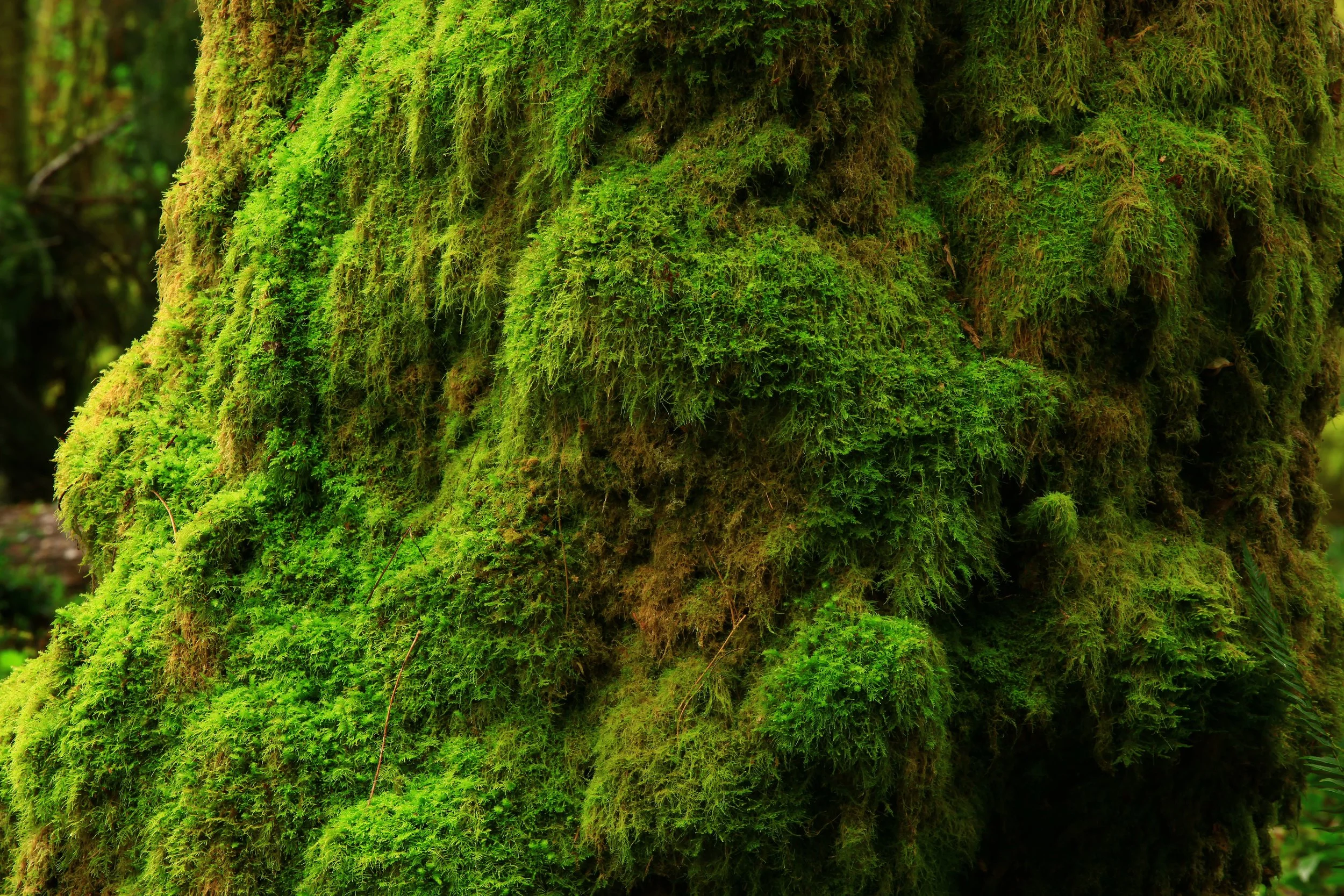 AdobeStock_174898260.jpeg