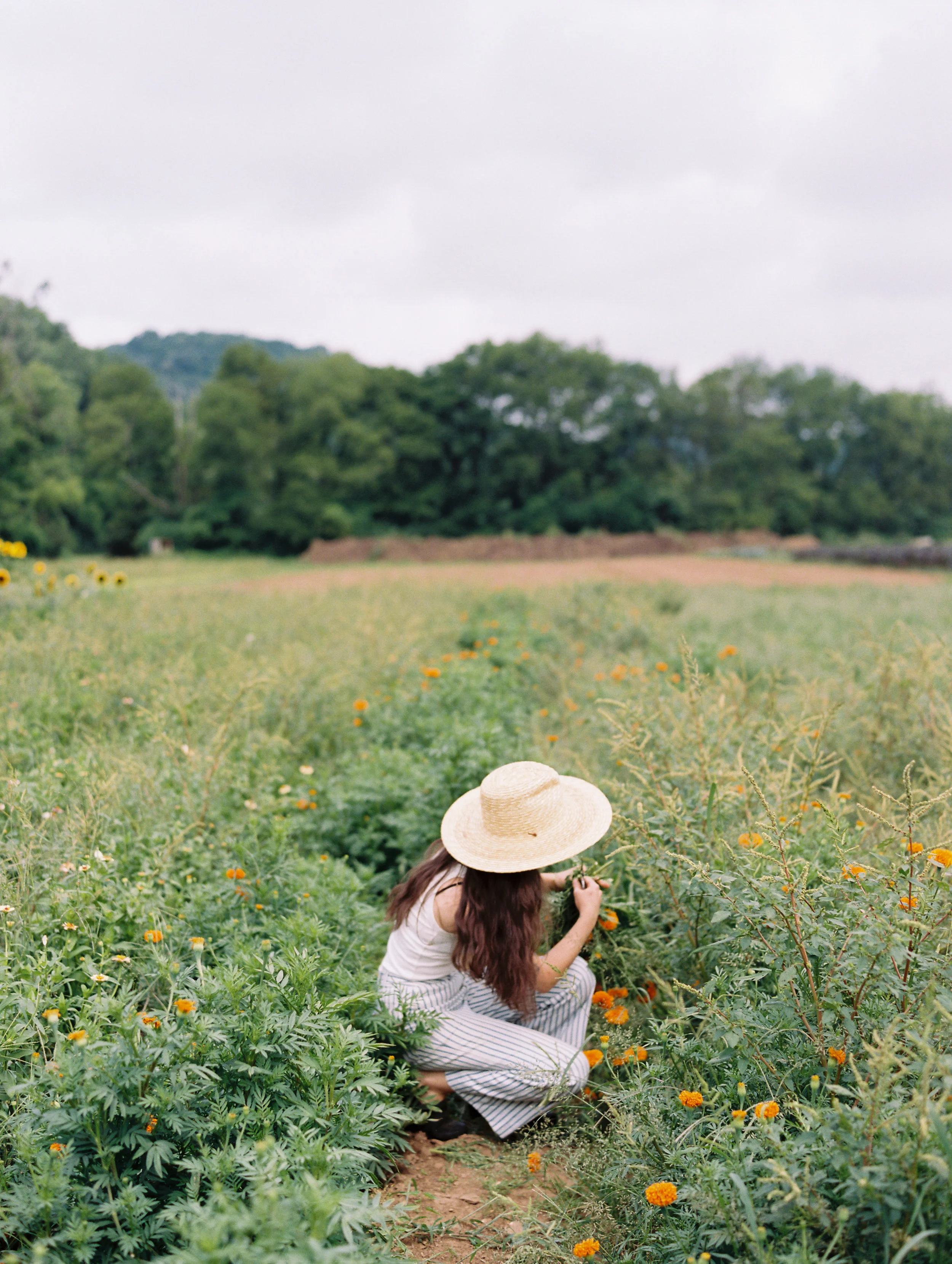 AbigailLewisPhotography_ (3 of 44).jpg