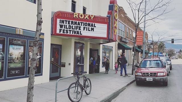 Screening now at @wildlifefilmfest !!