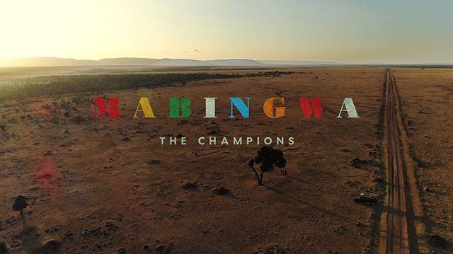 #Mabingwa received Best Cinematography and was a Best Doc Feature nominee at @theafricanfilmfestival this past weekend. Thanks and congrats to all, especially our DP, @joesailer and @chroma_productions