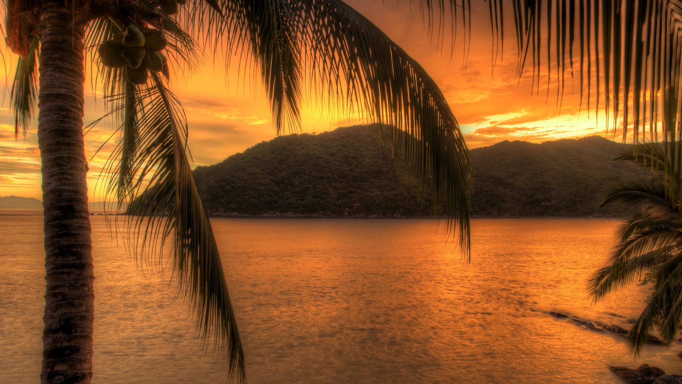 IMG_0374_5_6HDR.jpg