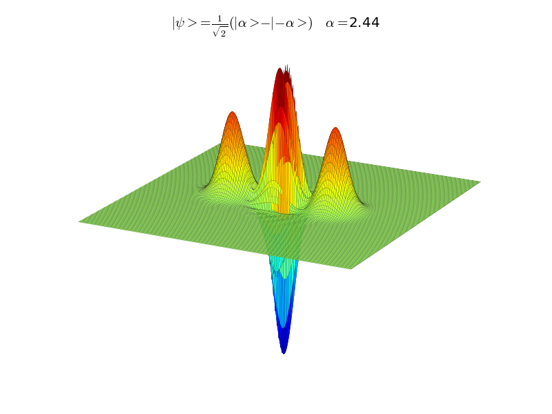 Wigner function from a Schrodinger Cat-state