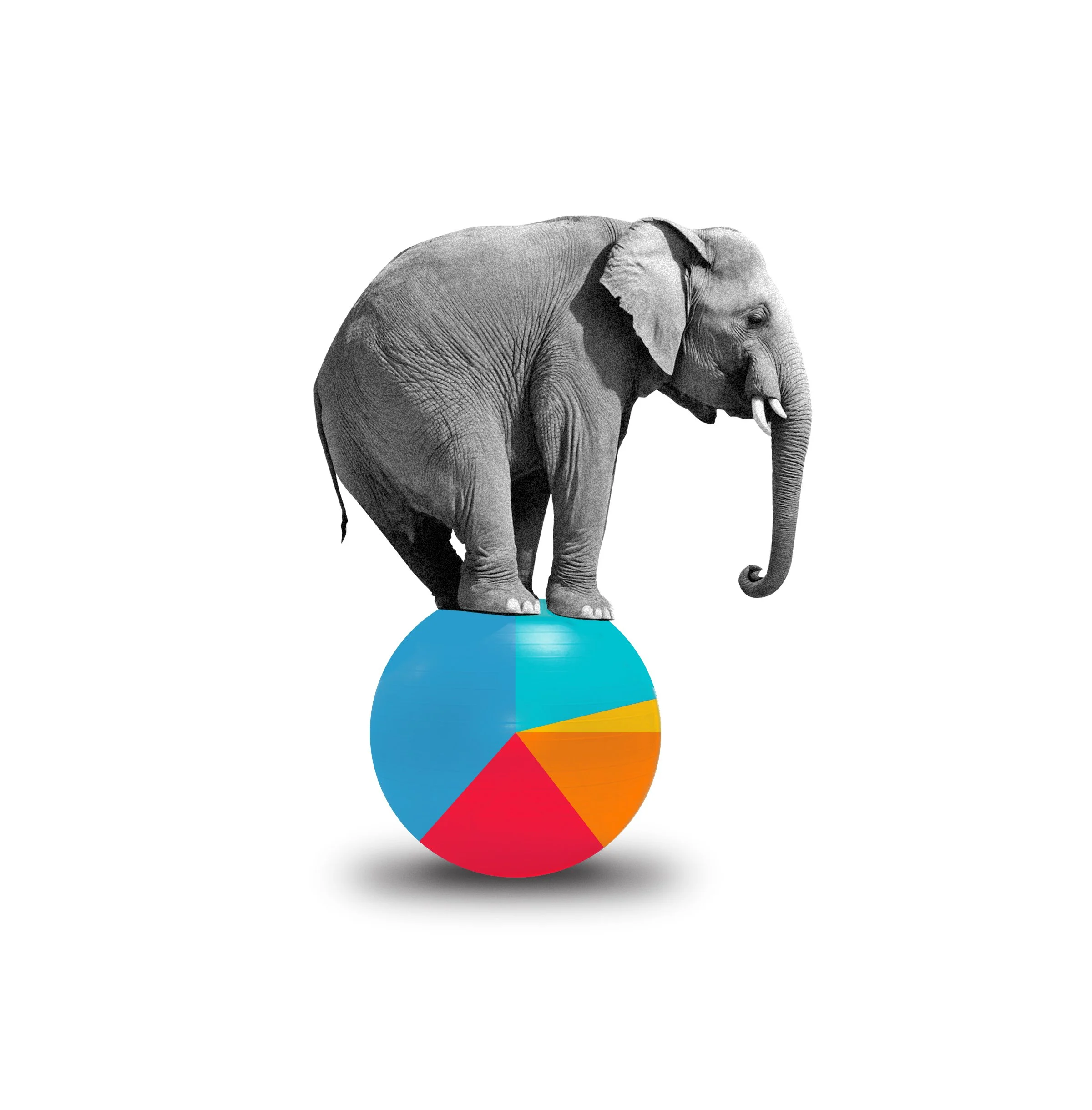 Elephant_MB_GM_ChartsPackage.jpg