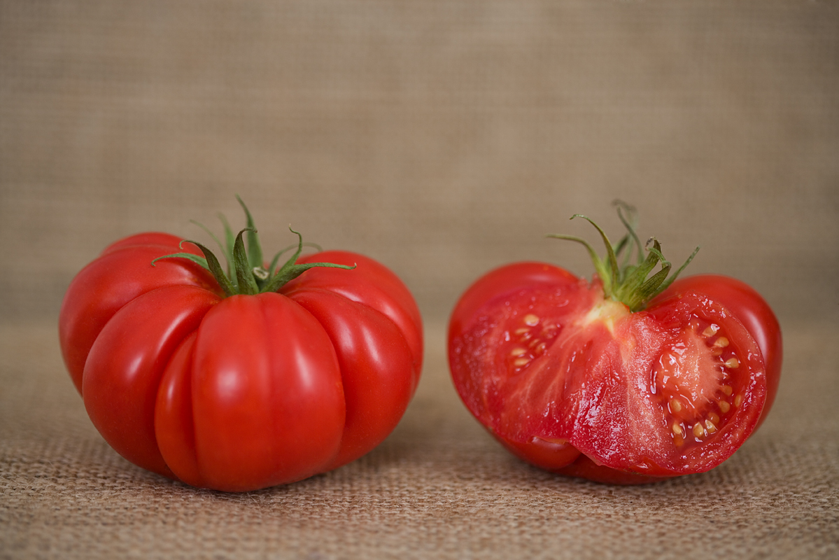 Costoluto Fiorentino Saucing Tomato