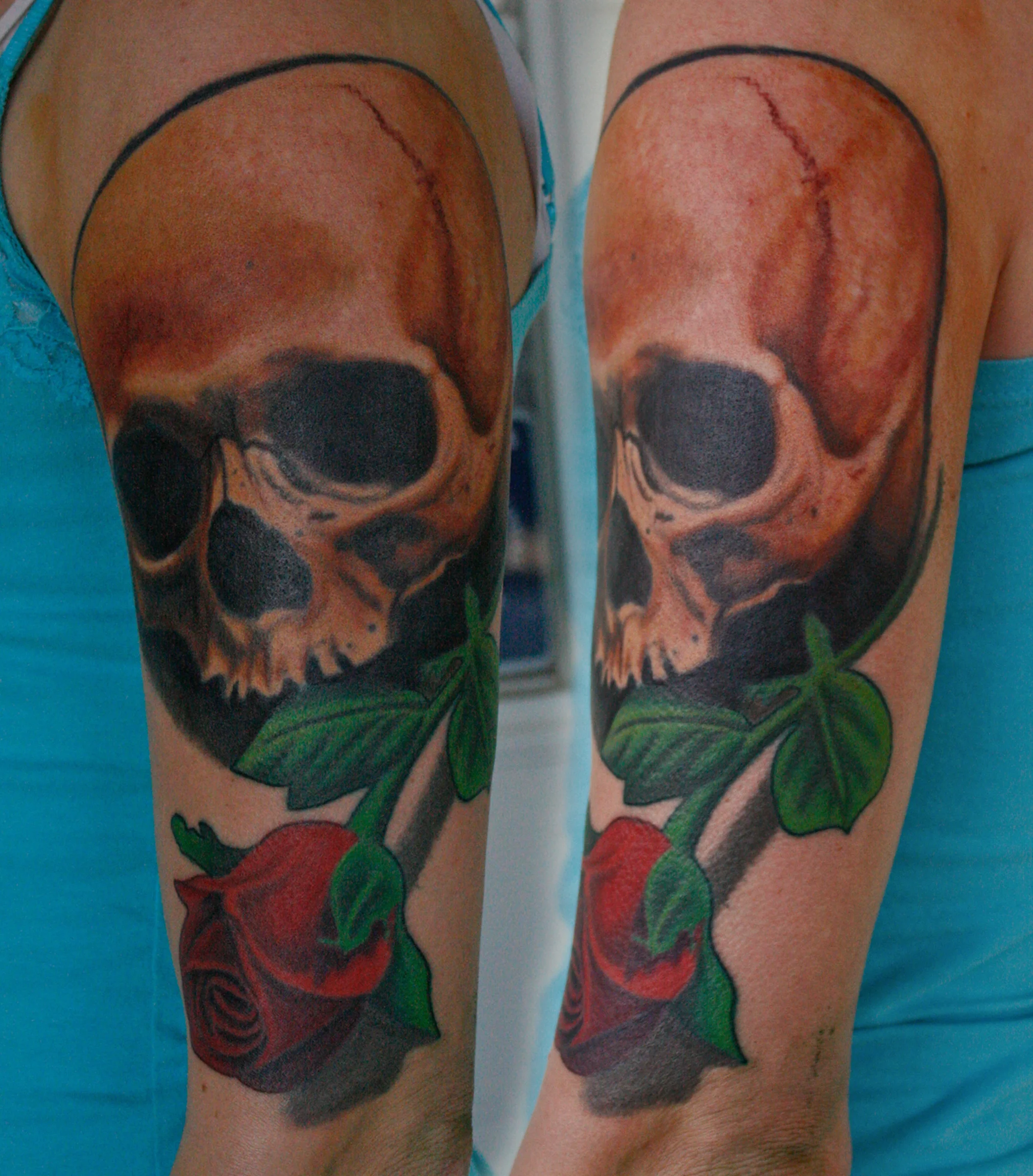 acacia skull.jpg