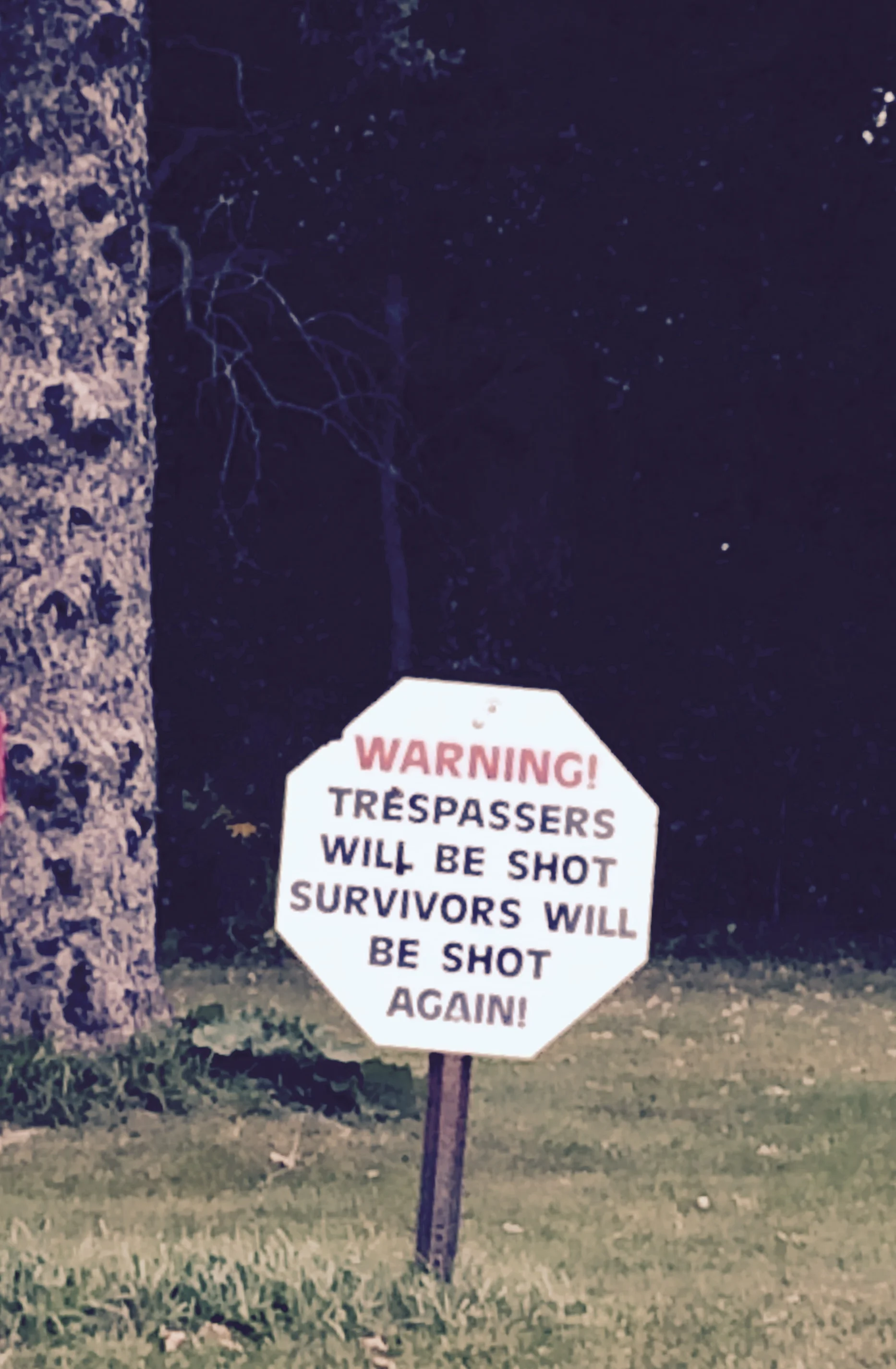 I was a little nervous taking this photo from the other side of the road.