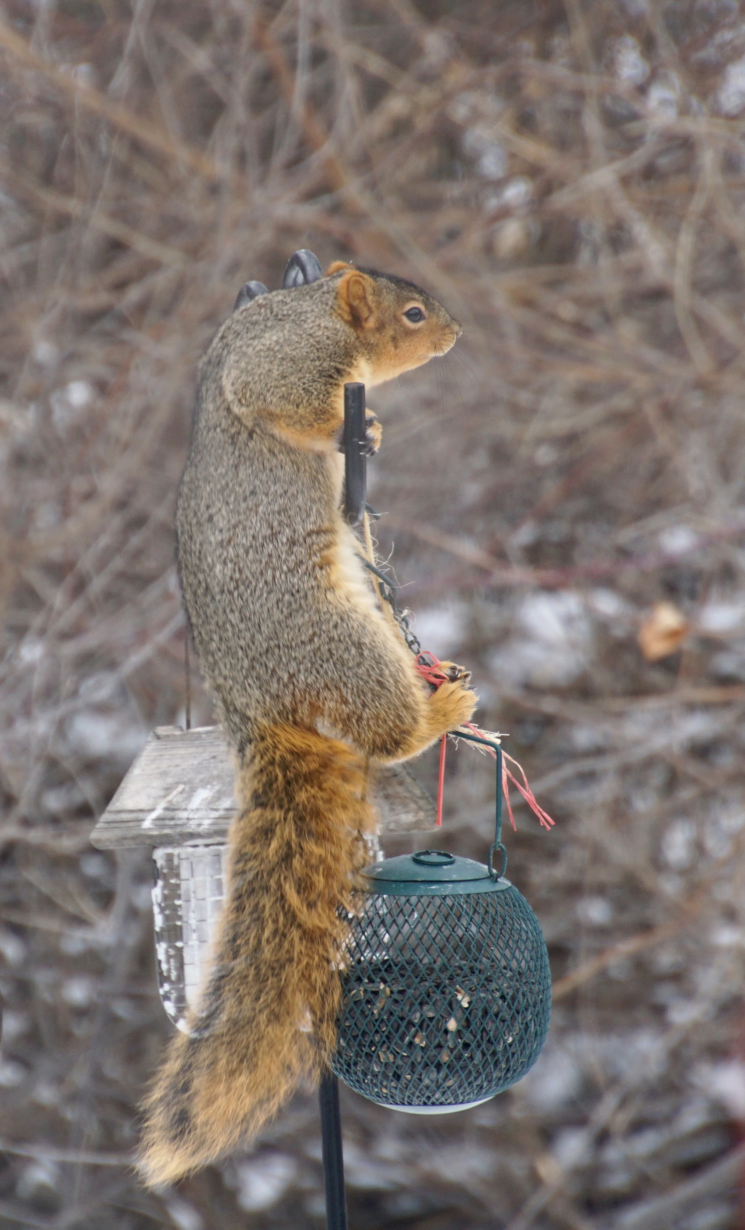 The first time exercising after Christmas can be a challenge.