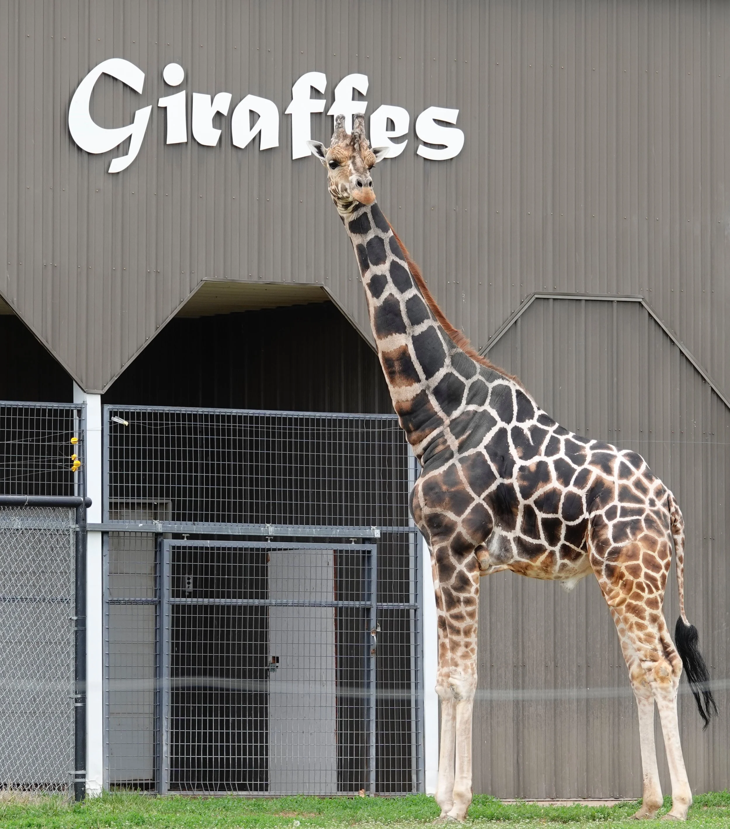 Thanks to signage, identification was made easy.