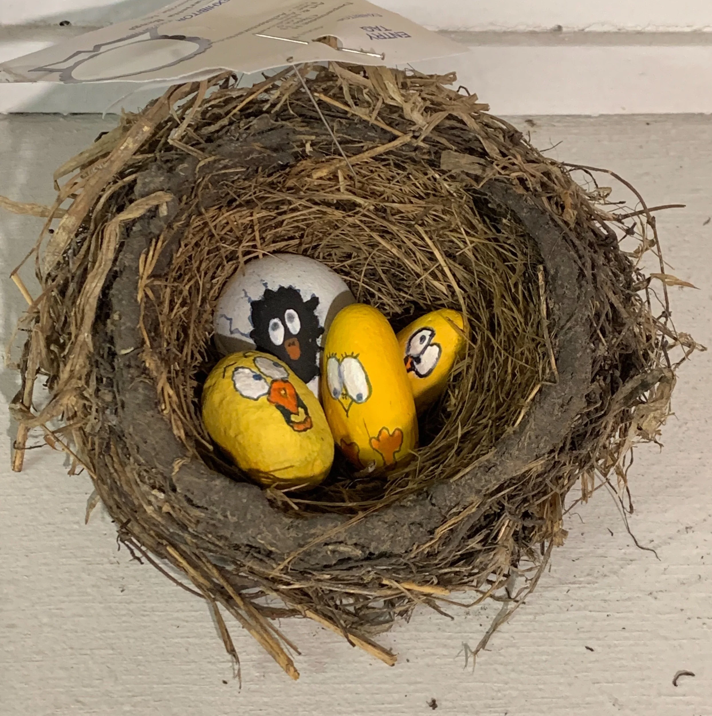 An odd bird nest seen at the Freeborn County