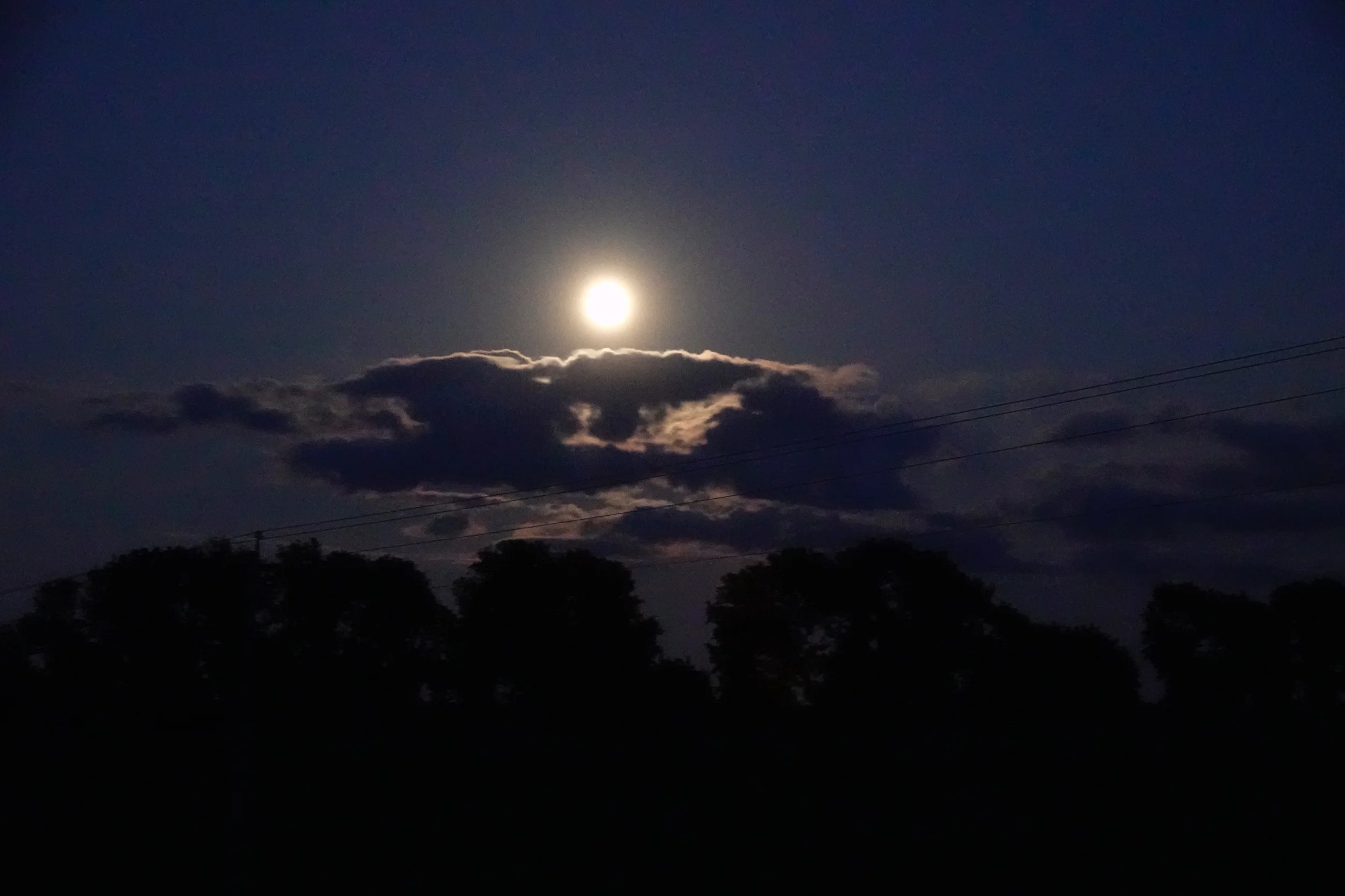 Well, it’s a marvelous night for a moondance.