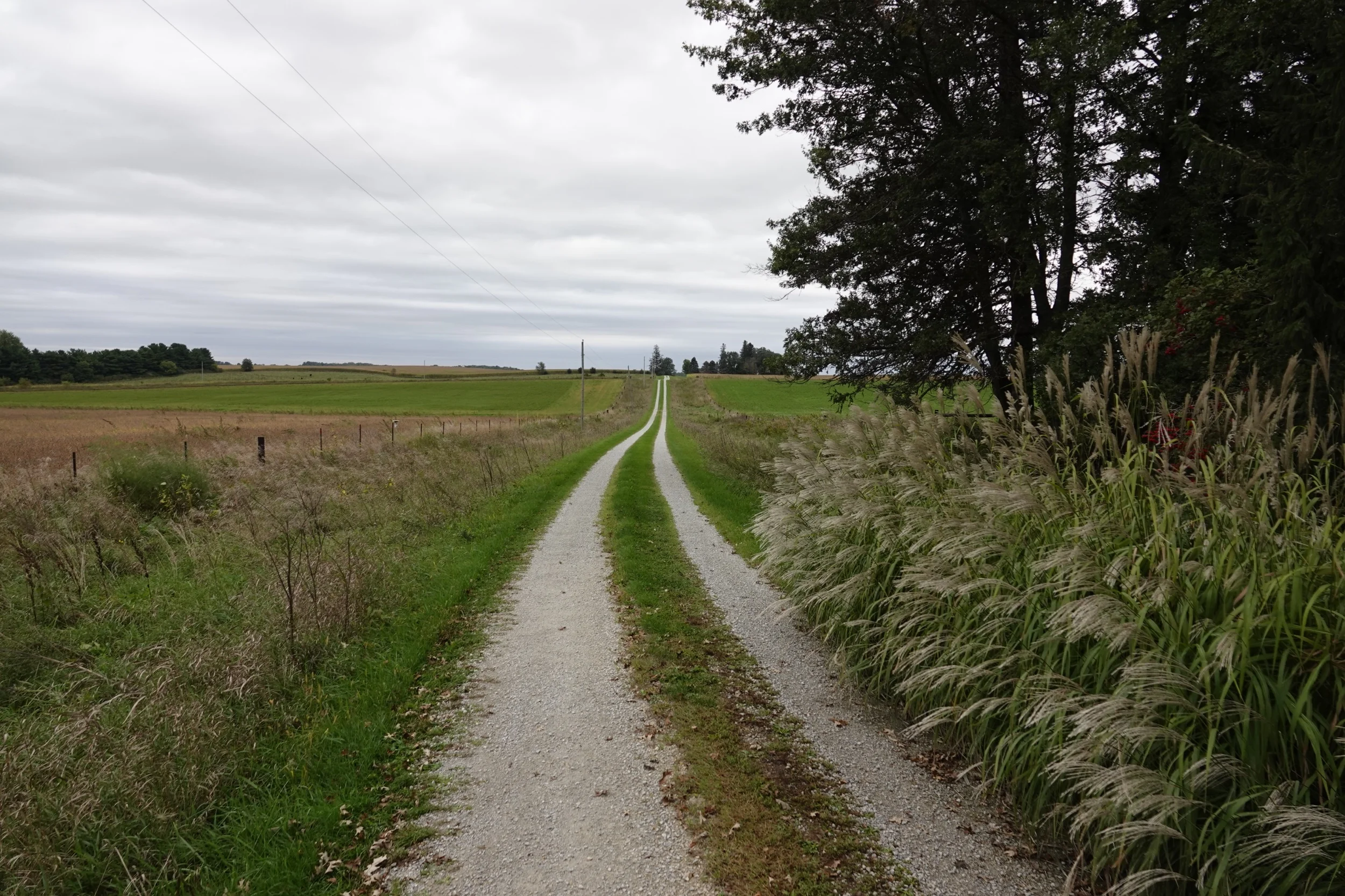 This drive was made for walking.