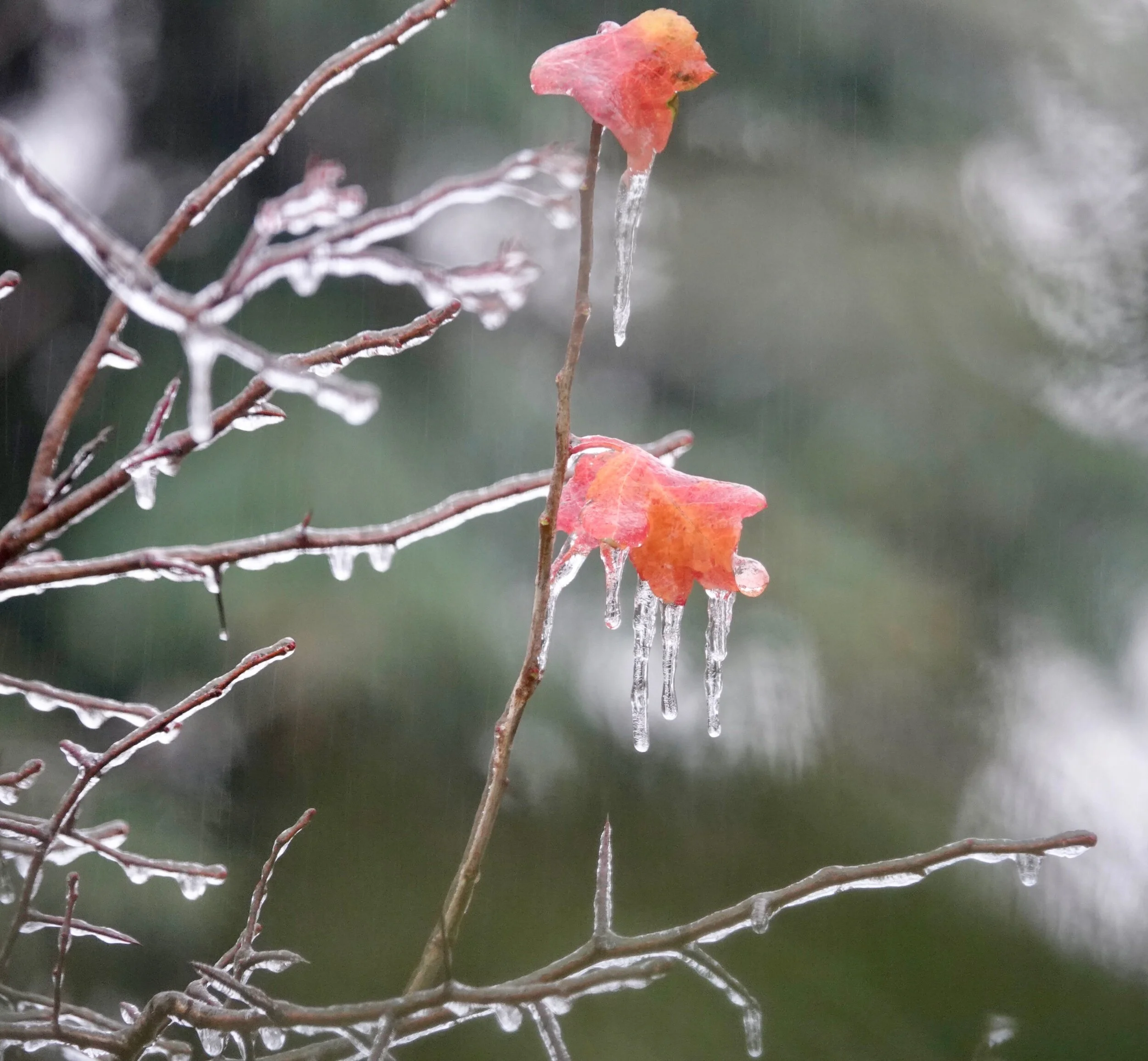 It was water before it was cool.