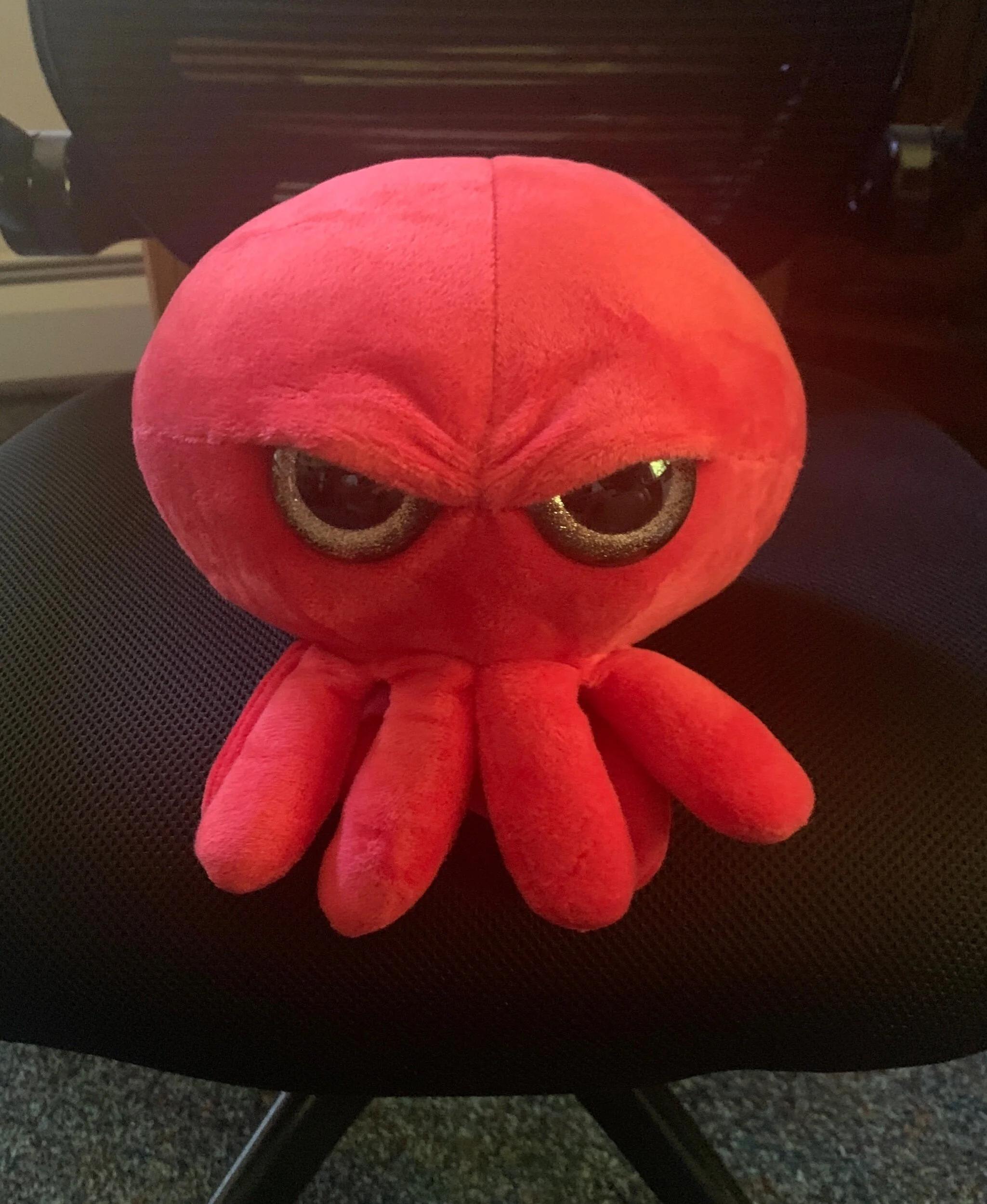 I found just the thing for that hard-to-buy-for lover of stuffed animals. The Grumpy Octopus. It’s adorable and doesn’t eat all that much.