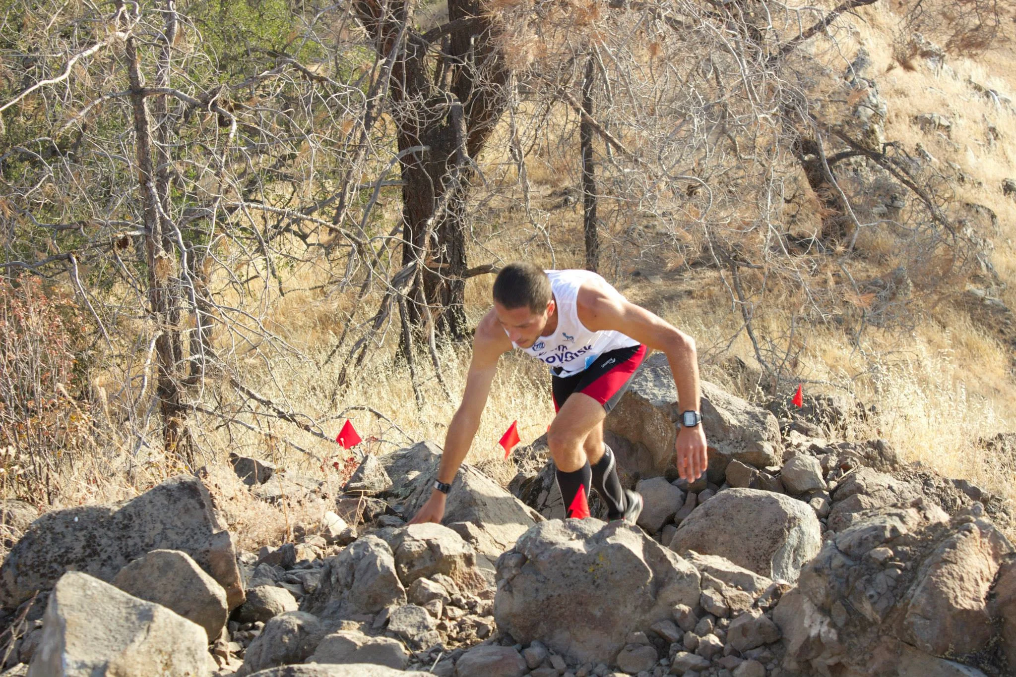 Pincushion Hill Climb Top 5 US Classic Vertical Trail Races — San