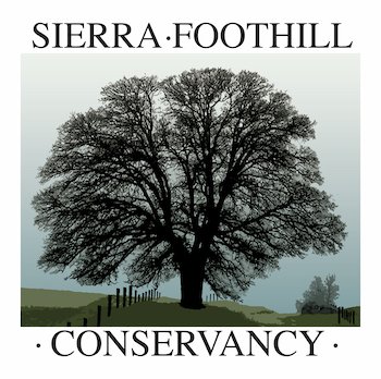 Sierra Foothill Conservancy Logo-01 (2) copy.jpg