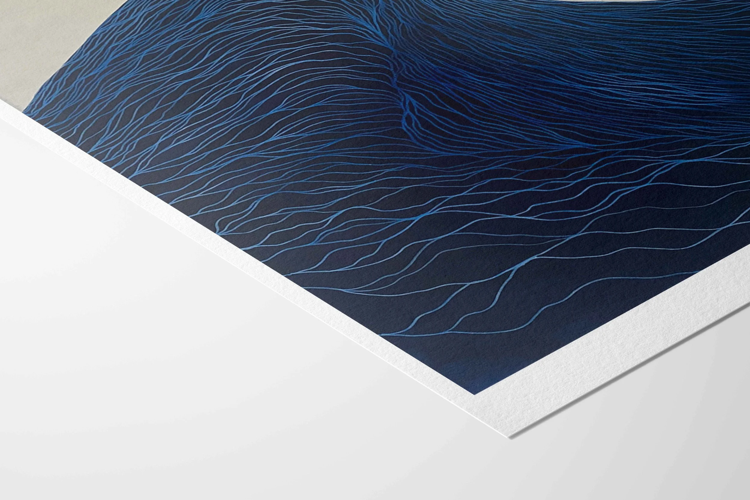 MD-Print-Mockup-Wave-v4.jpg