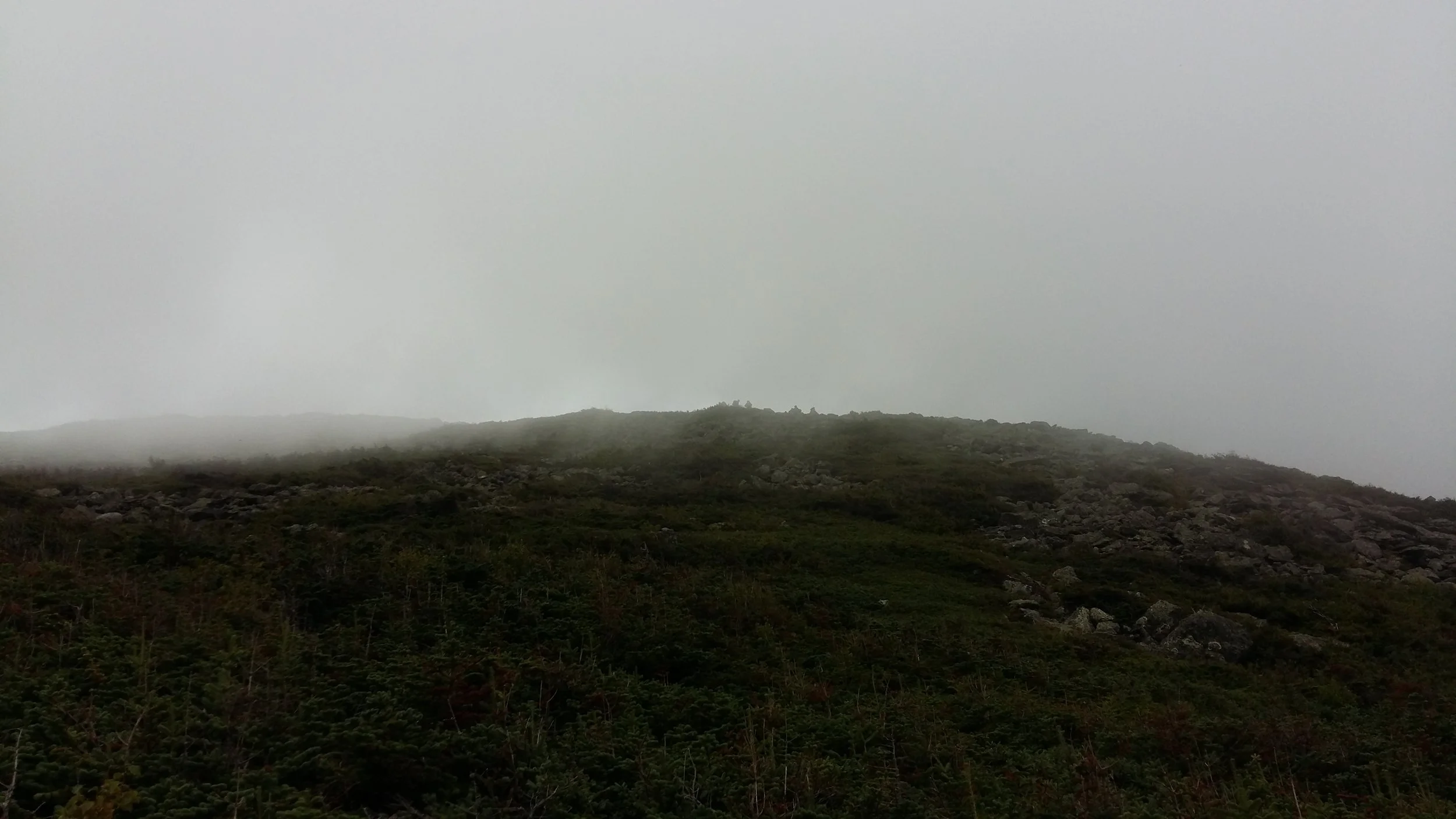 08-20160826_130953.jpg