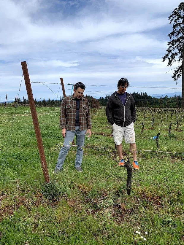 jimMatt_vineyard.jpg