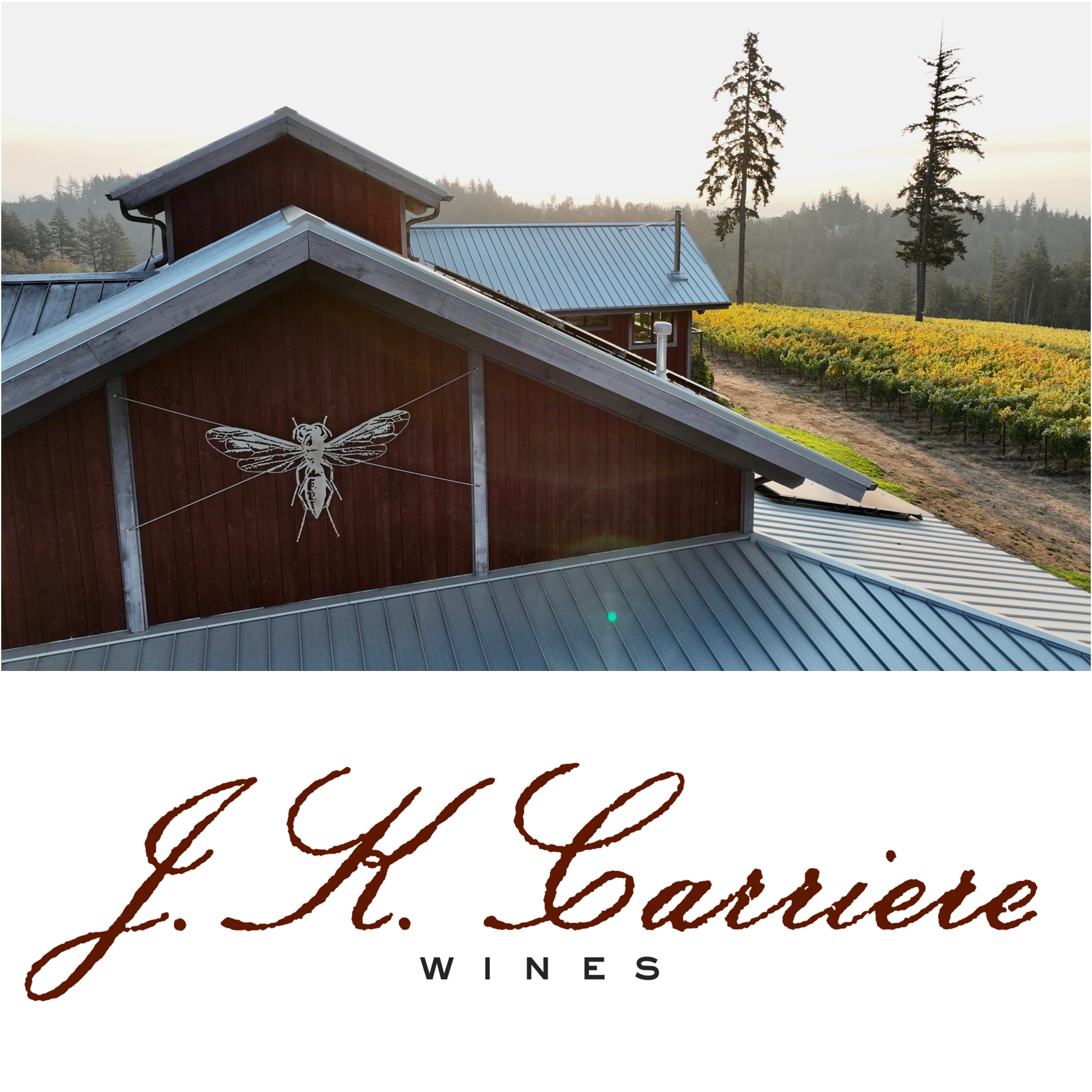 Redchirp_logo - J.K. Carriere.png