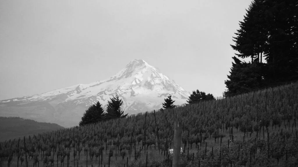 mountain-1024x576BW.jpg
