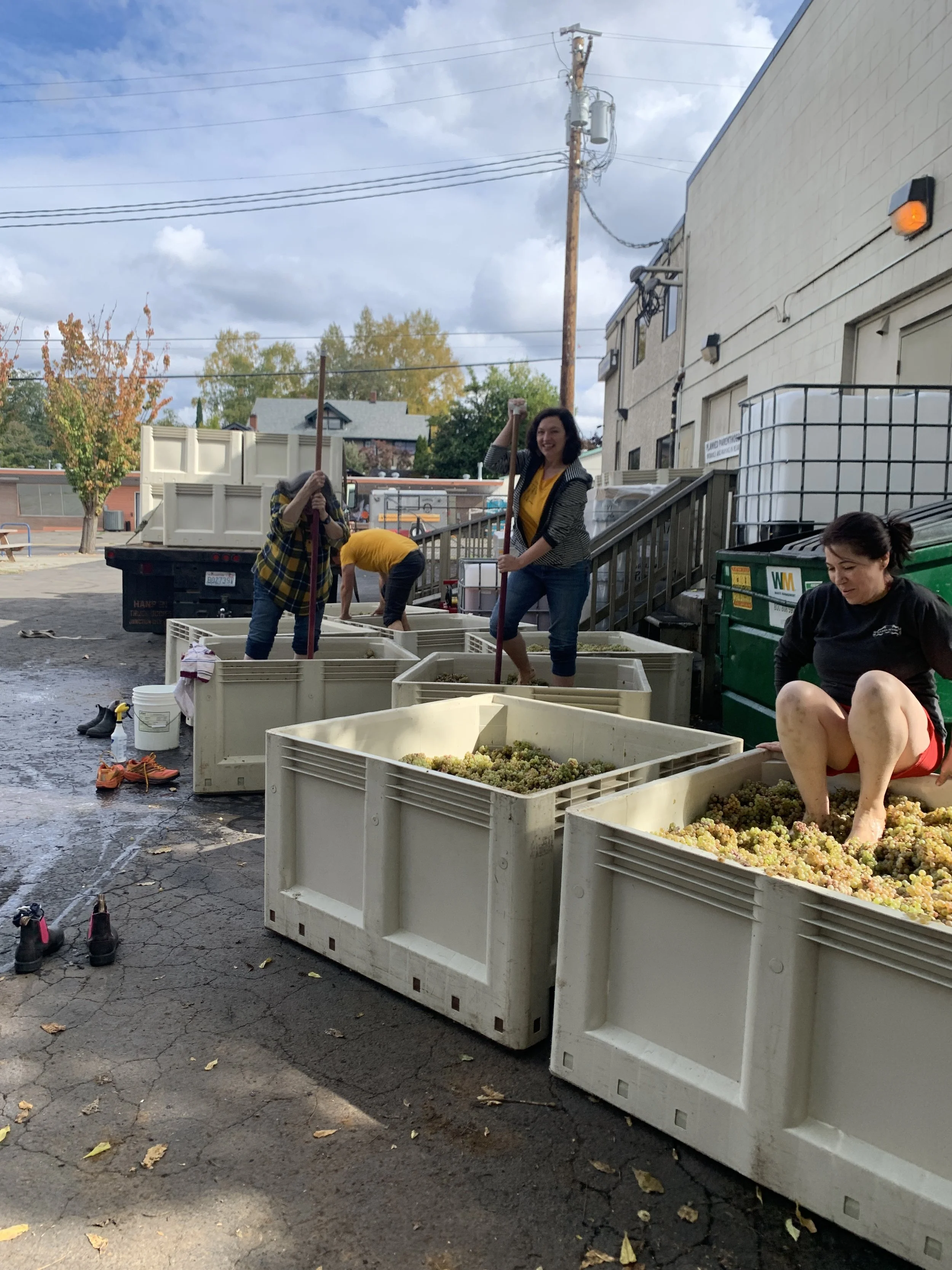 harvest2021_winerylot.JPG