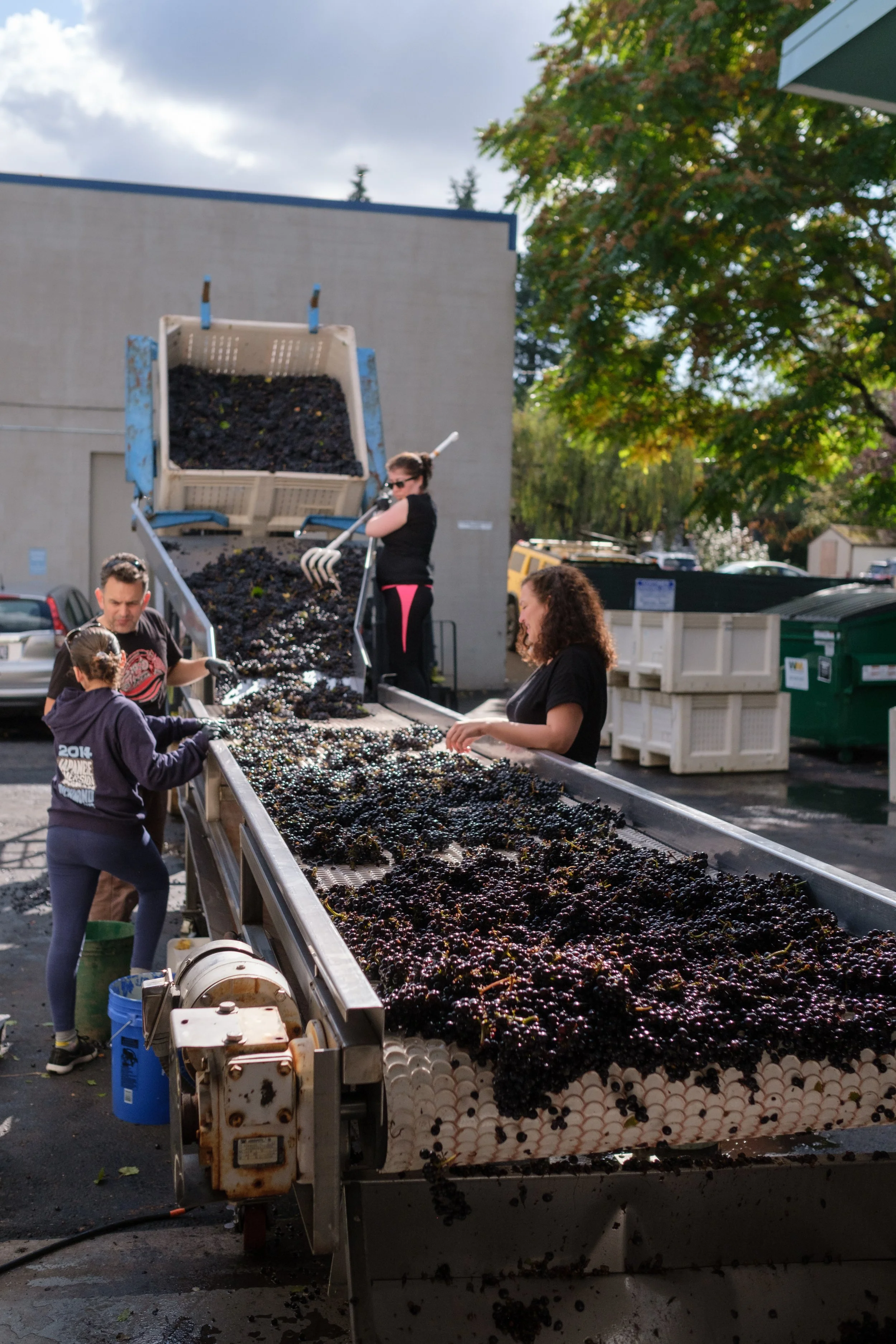 LoveandSqualorHarvest2019-3.jpg