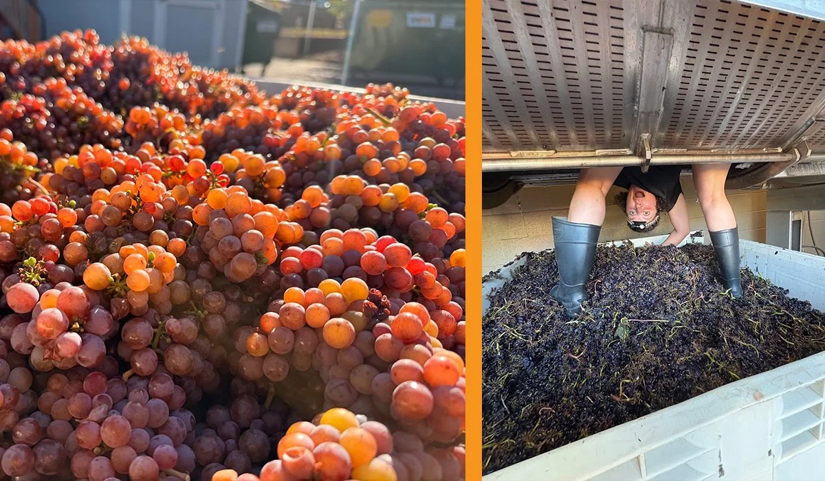 2025-2_photo_header_harvest2.jpeg