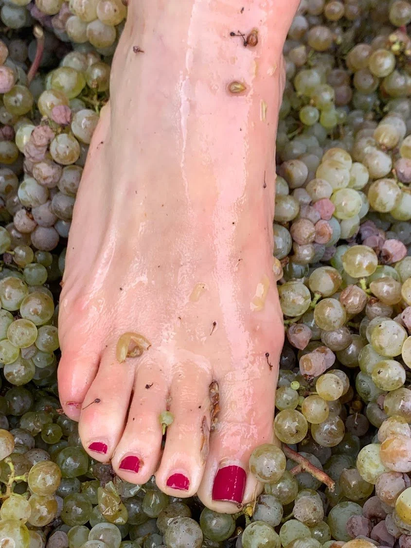 angiesfoot_in_riesling.JPG