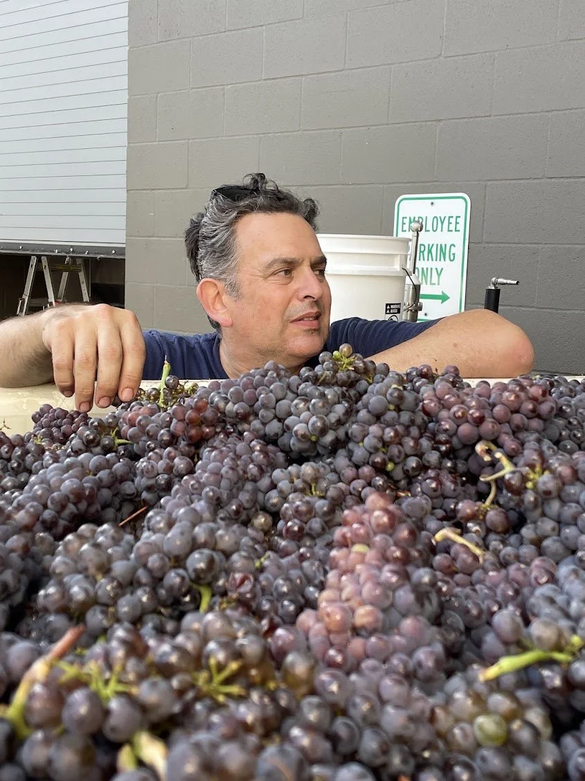 Matt_grapes_harvest2024.jpg
