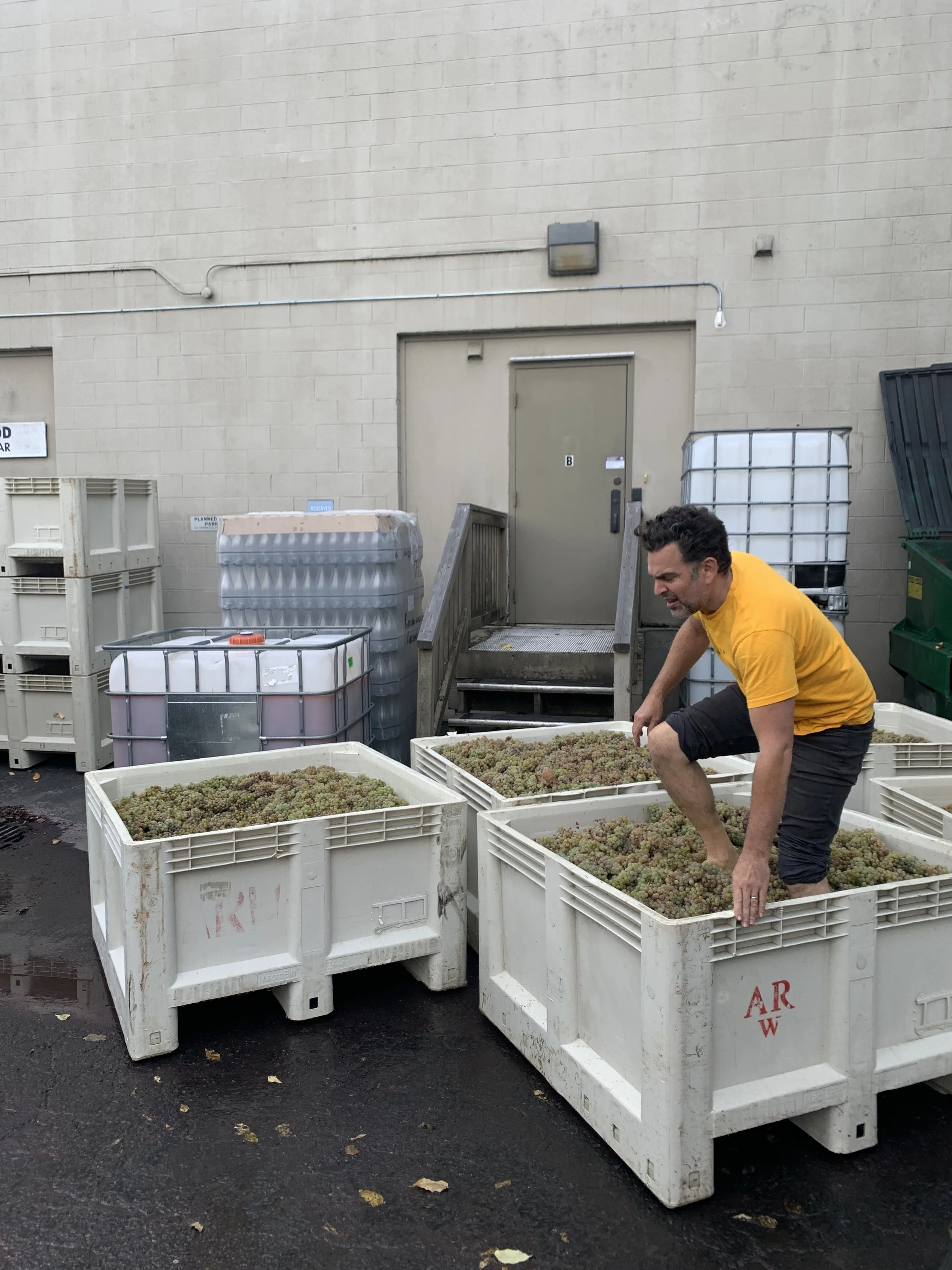 Matt_harvest2021._inthebins.jpg