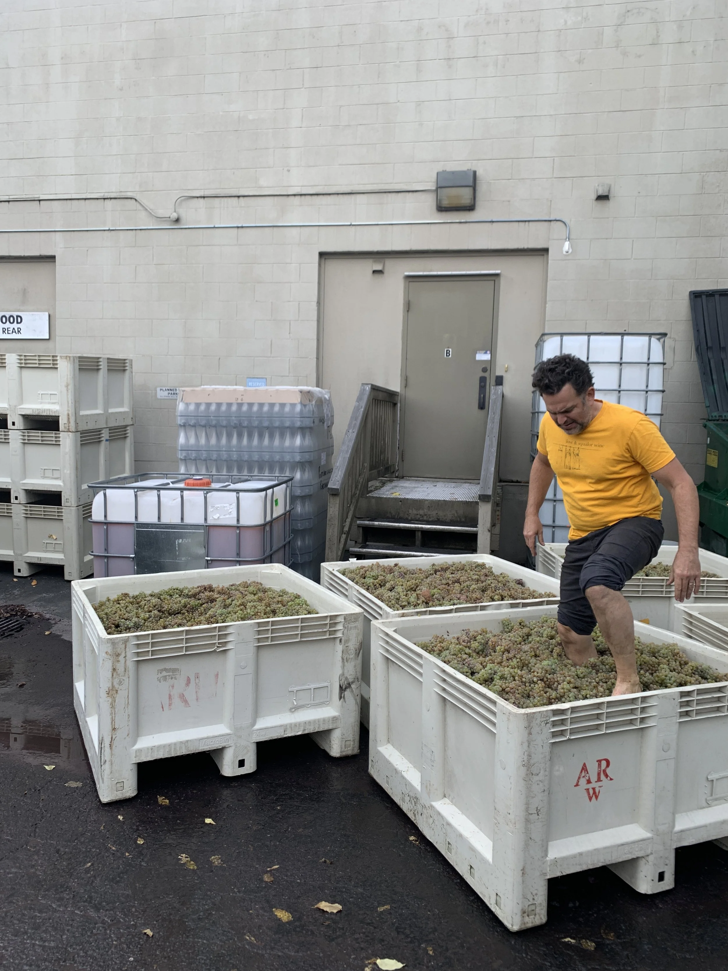 Matt_harvest2021.jjpg.jpg