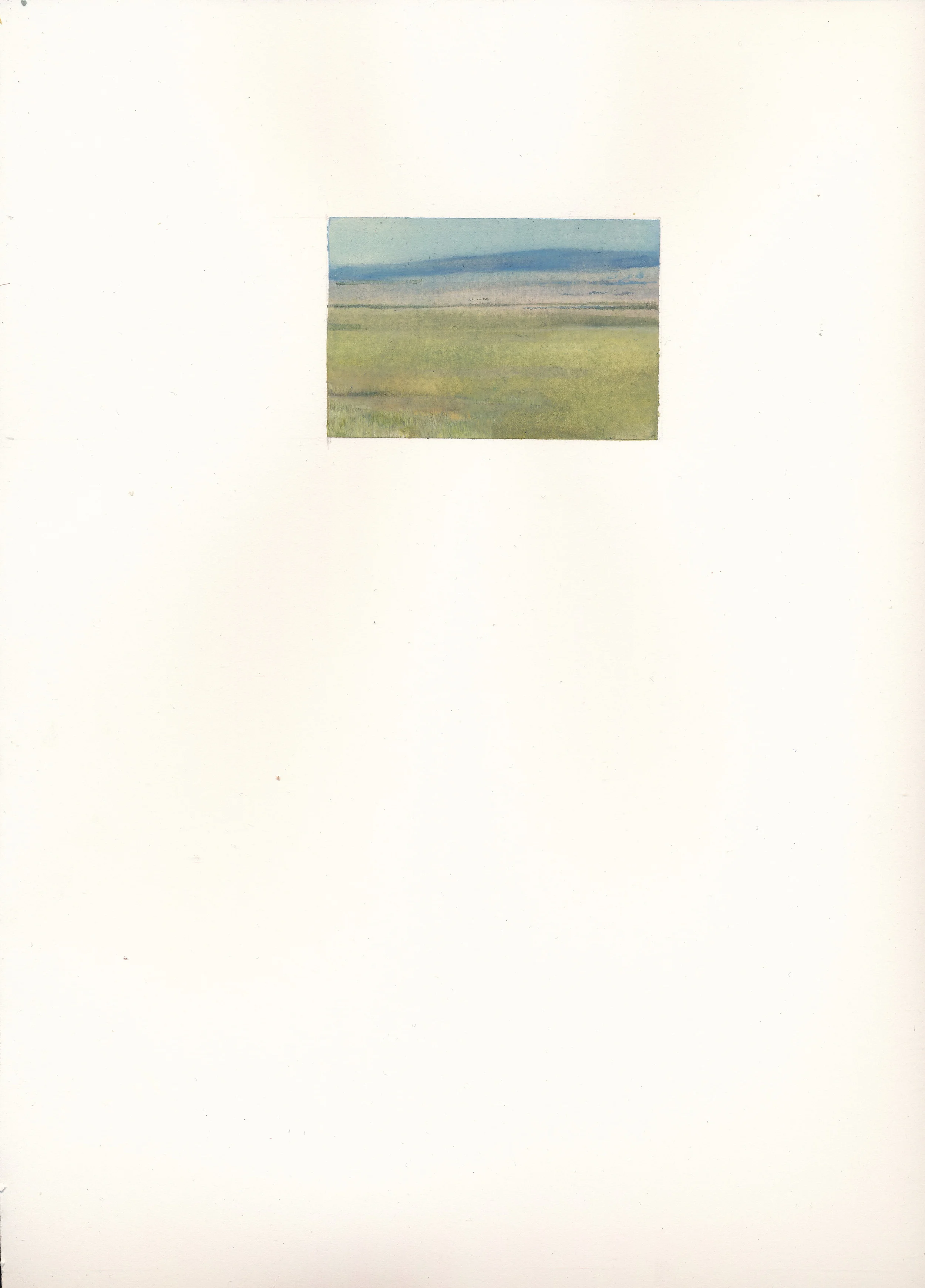 IMG.jpg