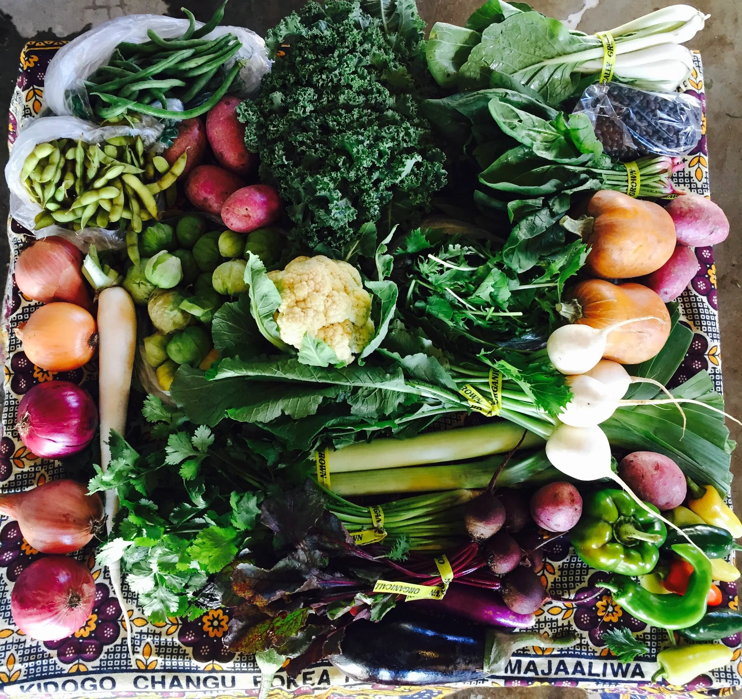 photo credit: Big River Farms CSA