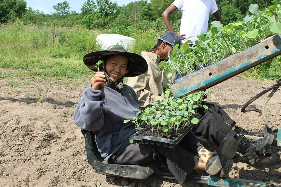 Farmer Mentor May Lee using the water wheel transplanter.jpg