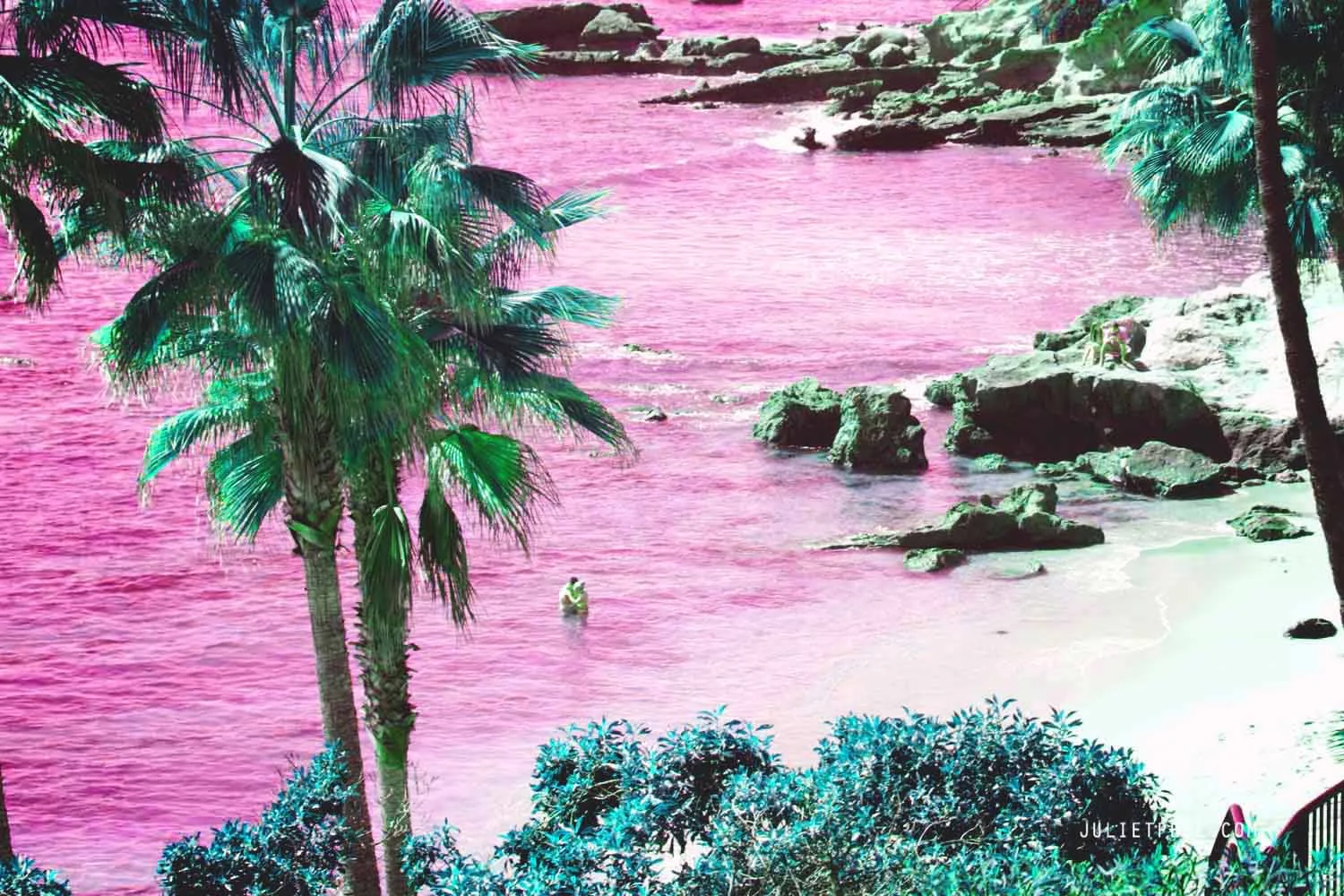 pinkseas.jpg
