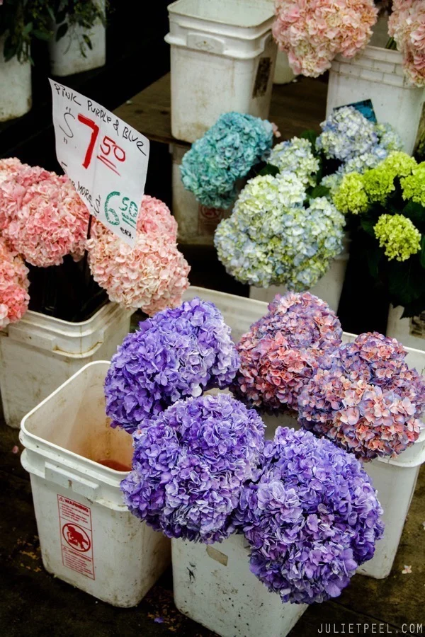Flower Market in DTLA with Friends — Juliet Peel Photography