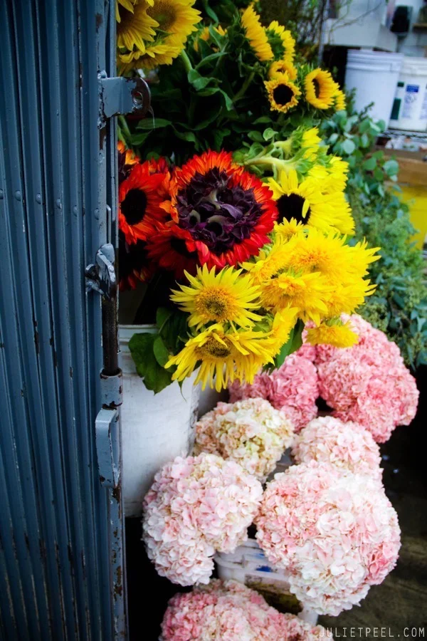 Flower Market in DTLA with Friends — Juliet Peel Photography