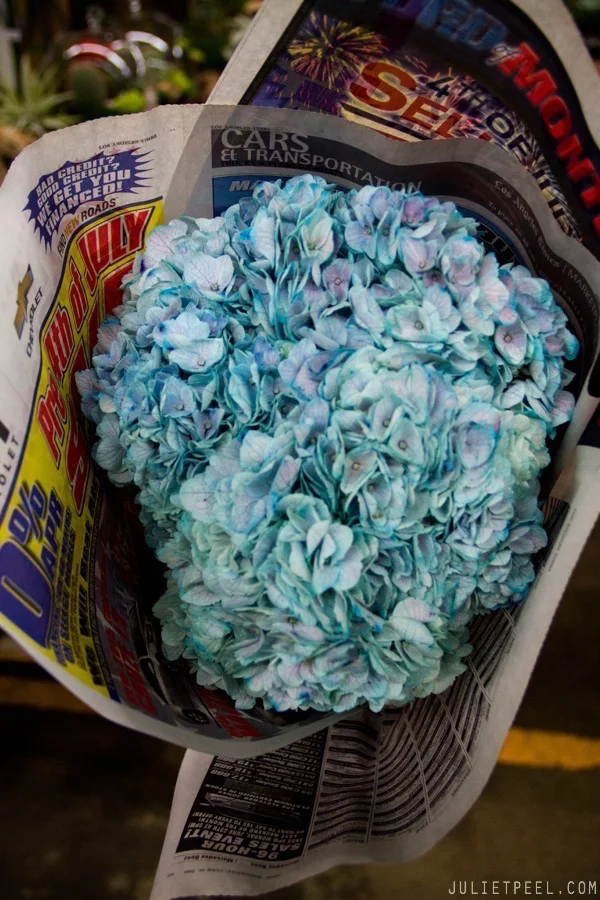 Flower Market in DTLA with Friends — Juliet Peel Photography