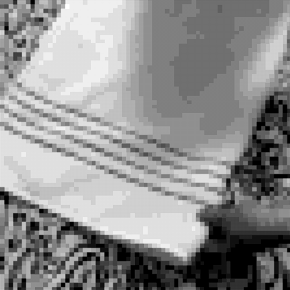 xyondvale p1 ani11.gif