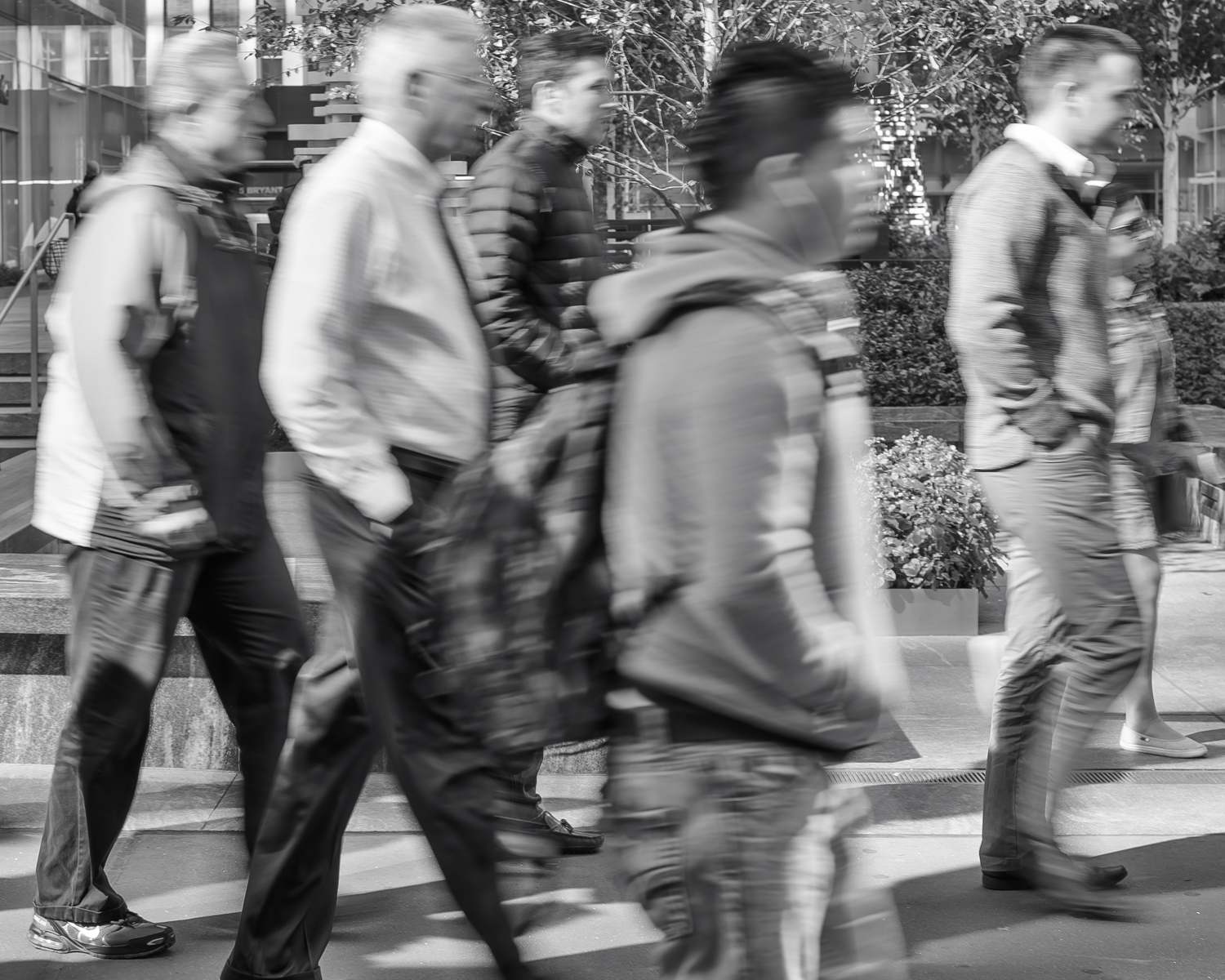 Crowds-4.jpg