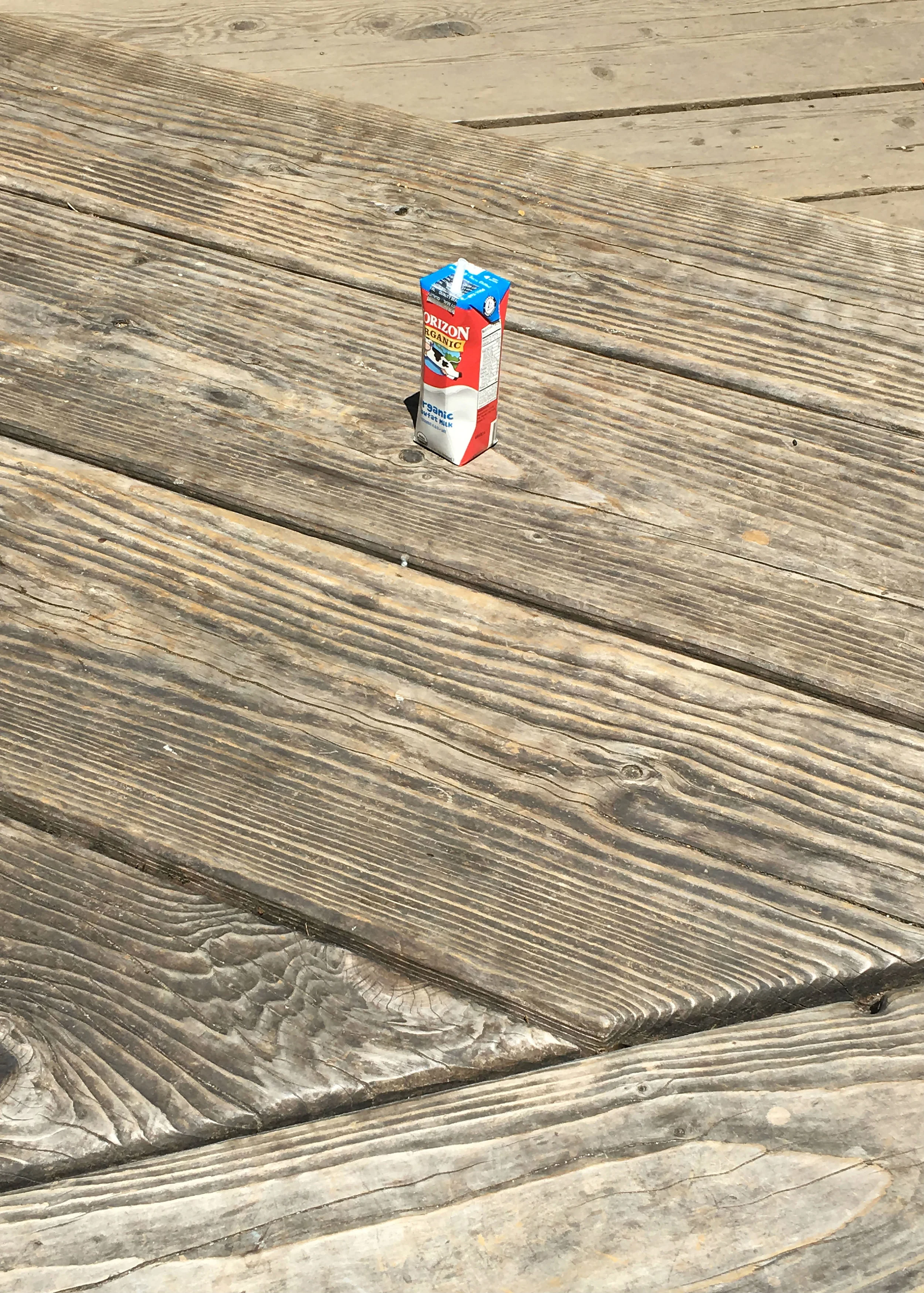 milk carton.jpg