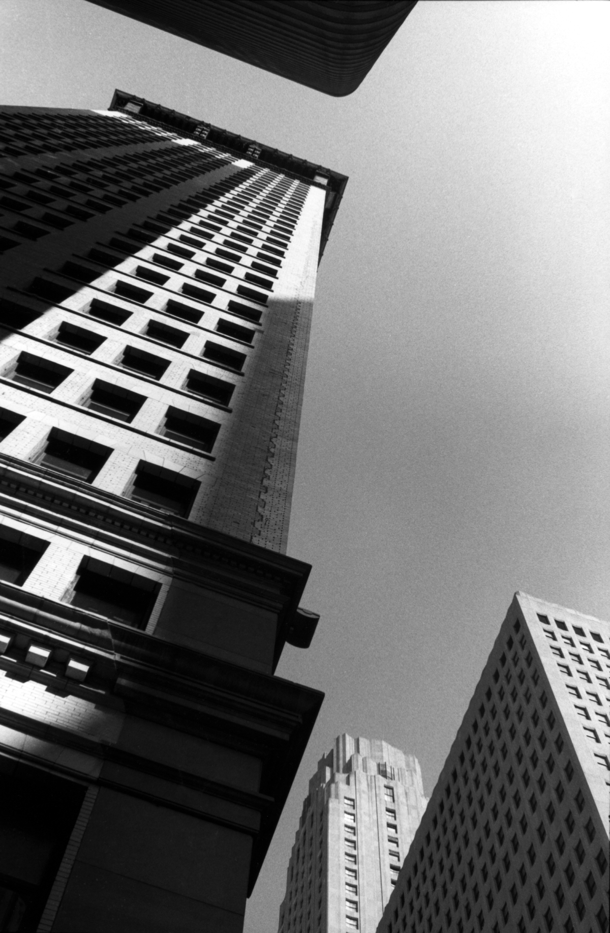 vertical city_1.jpg