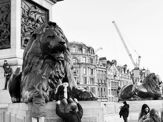 #trafalgarsquare #lions #statues #london #england #blackandwhite #londonphotography #art #streetphotography #europeanvacation #uk
