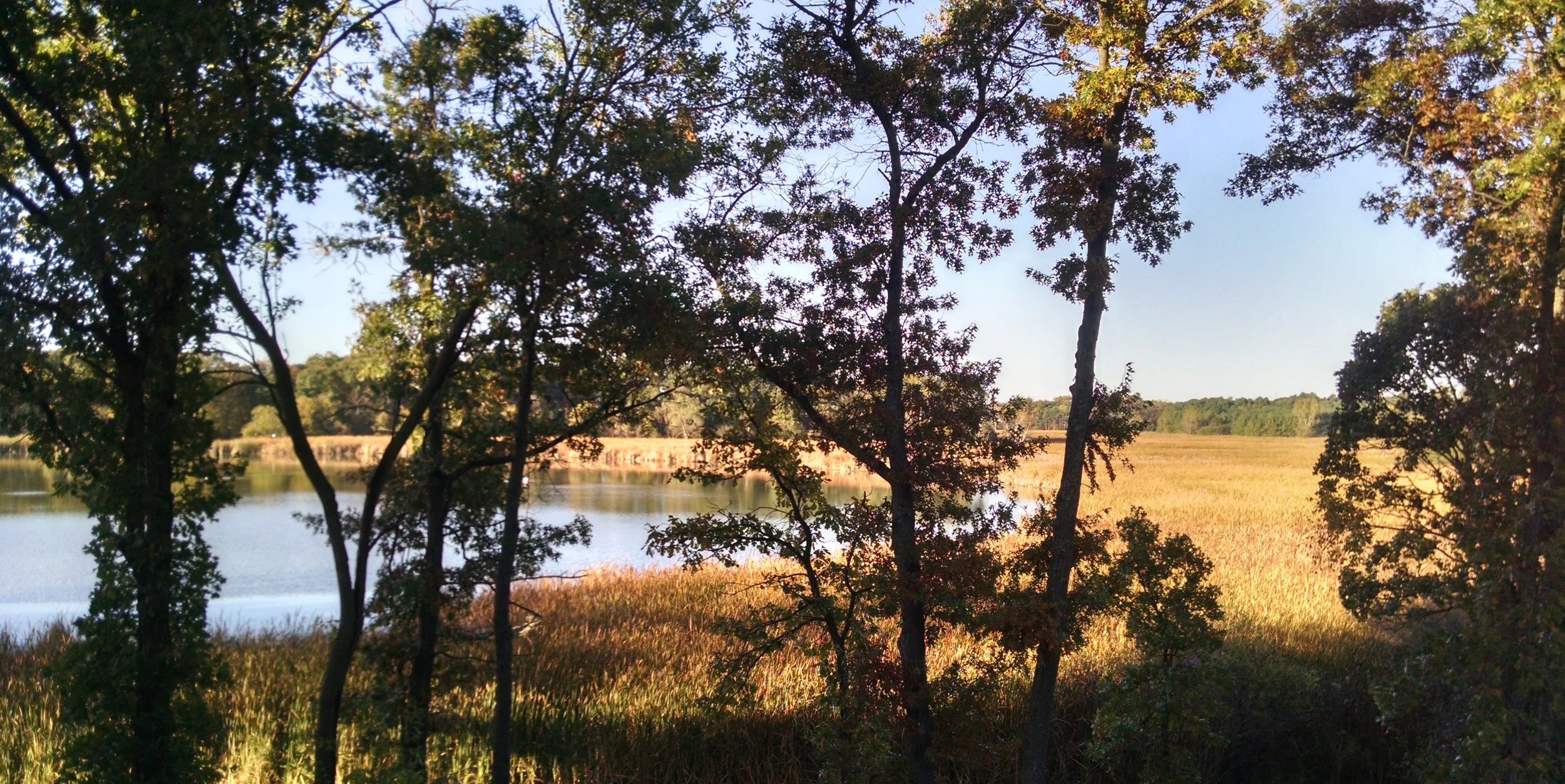 Friendship Lake View.jpg