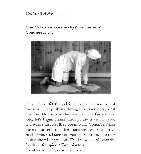 HealYourBack_Page_110.jpg