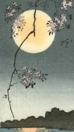 Yashimoto+Moon+with+Cherry+Blossoms+1.jpg