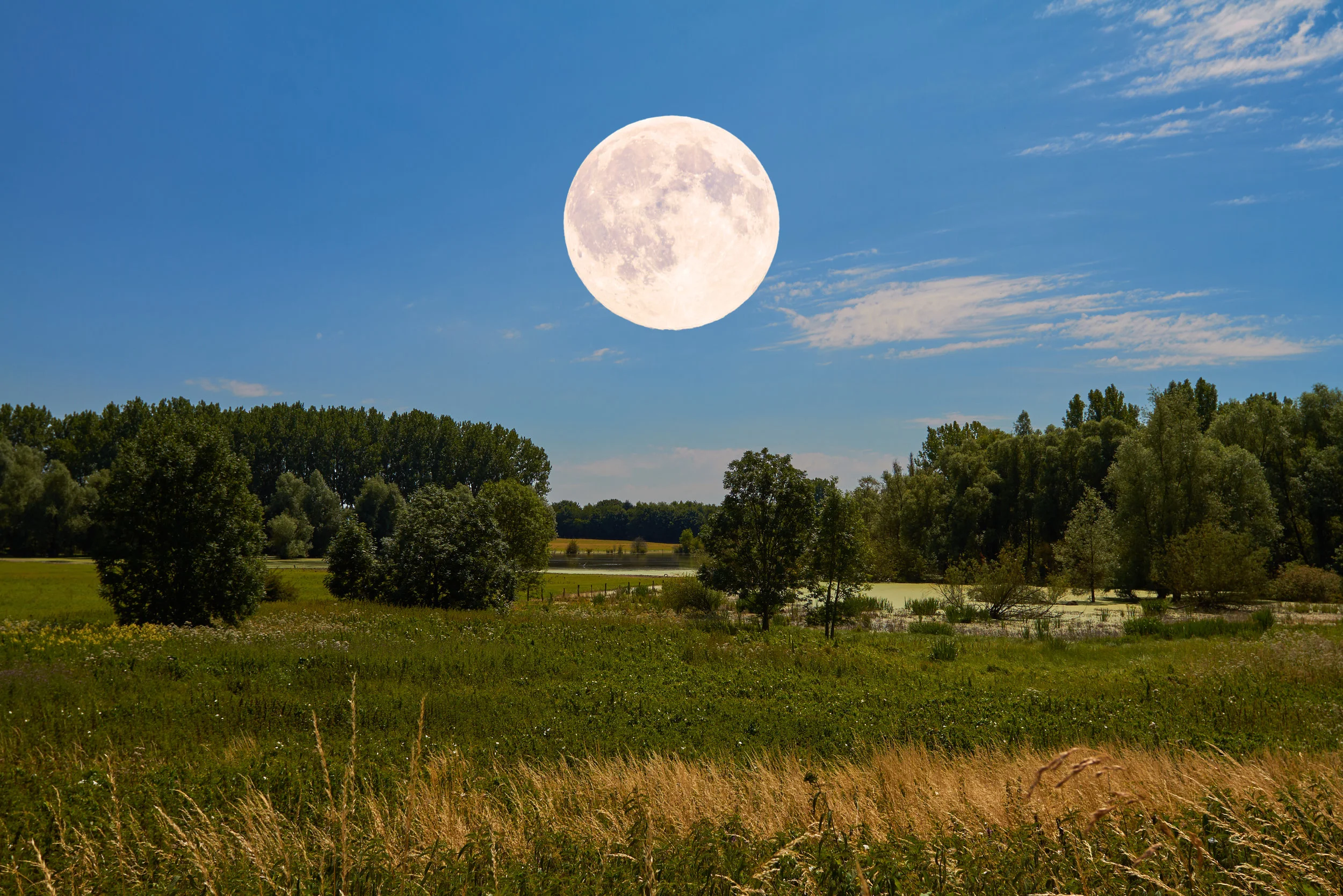 AdobeStock_86920098.jpeg