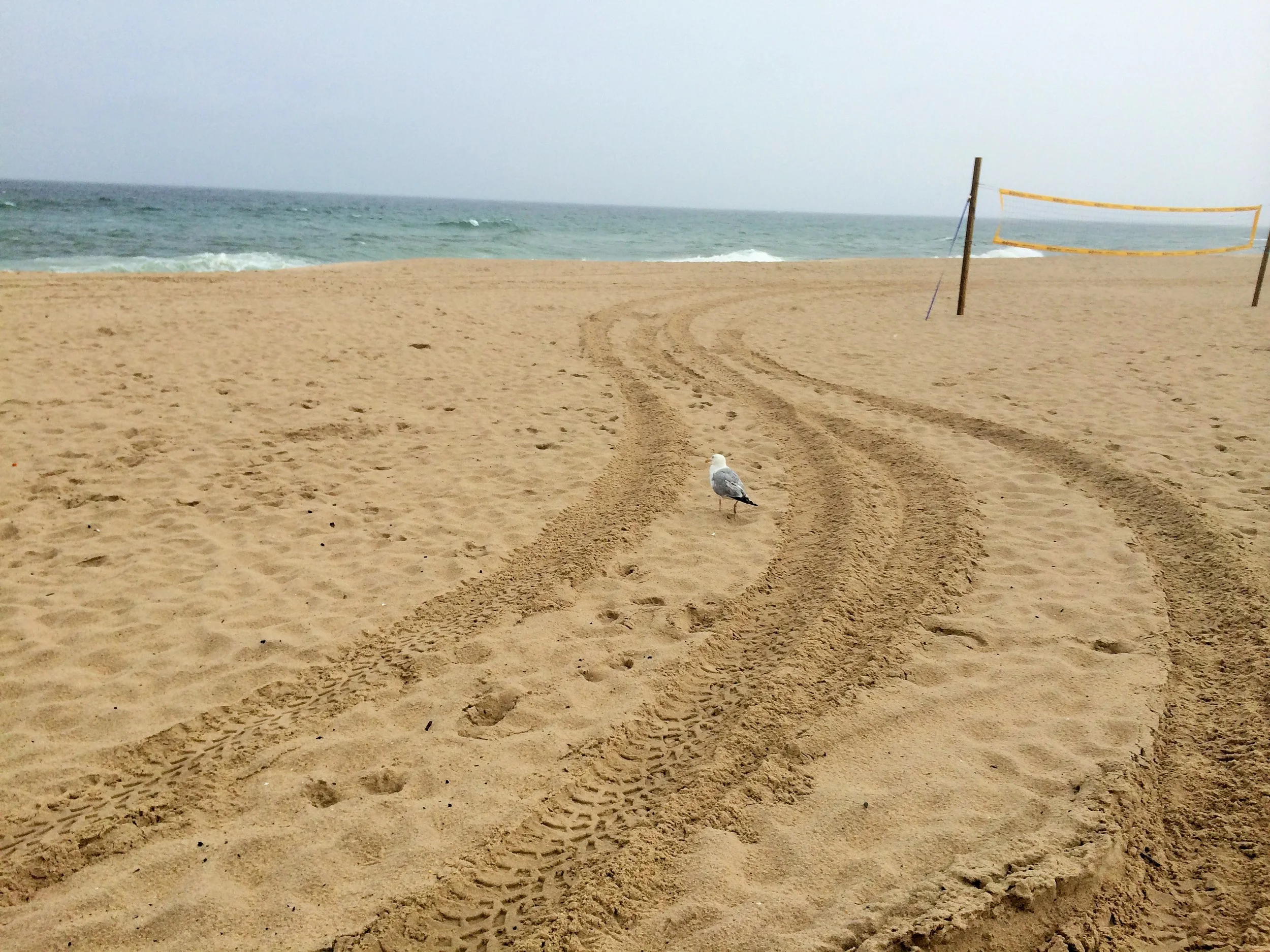 Hamptons Beach