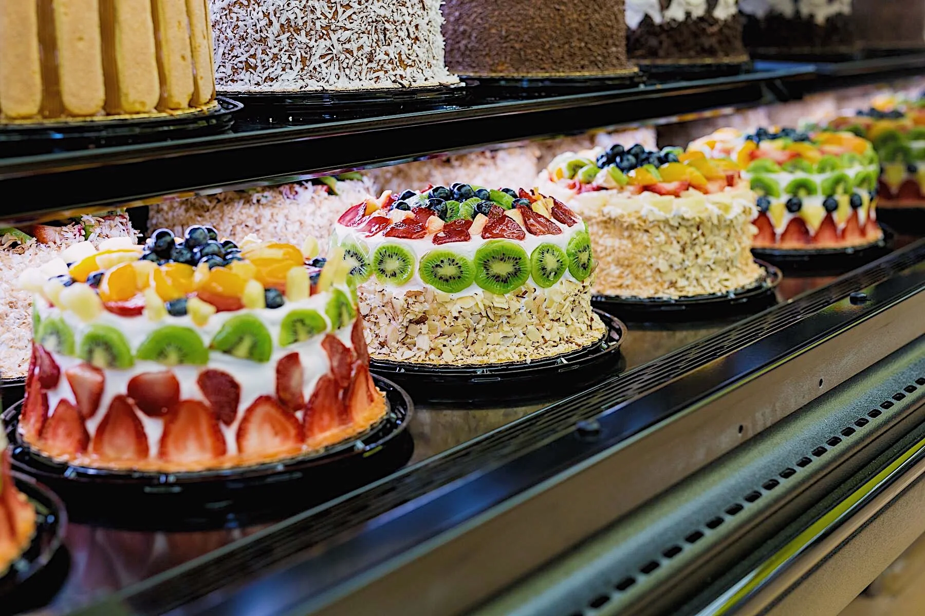 Fresco Y Más Grand Opening — Metanoia Living