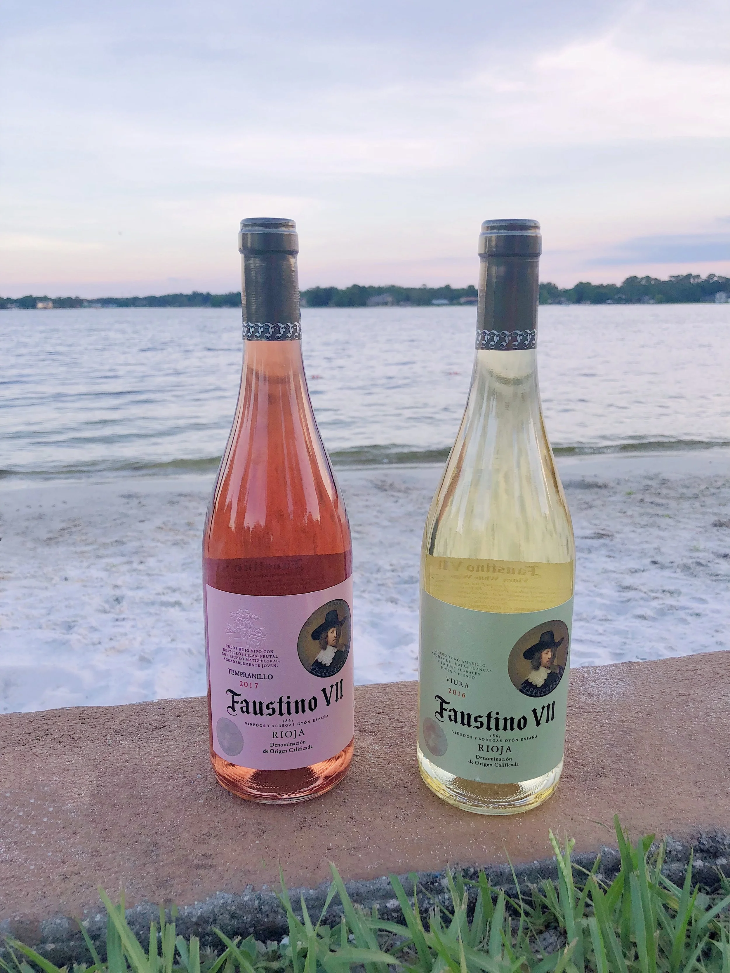 Celebrating Special Moments with Faustino Wine — Metanoia Living